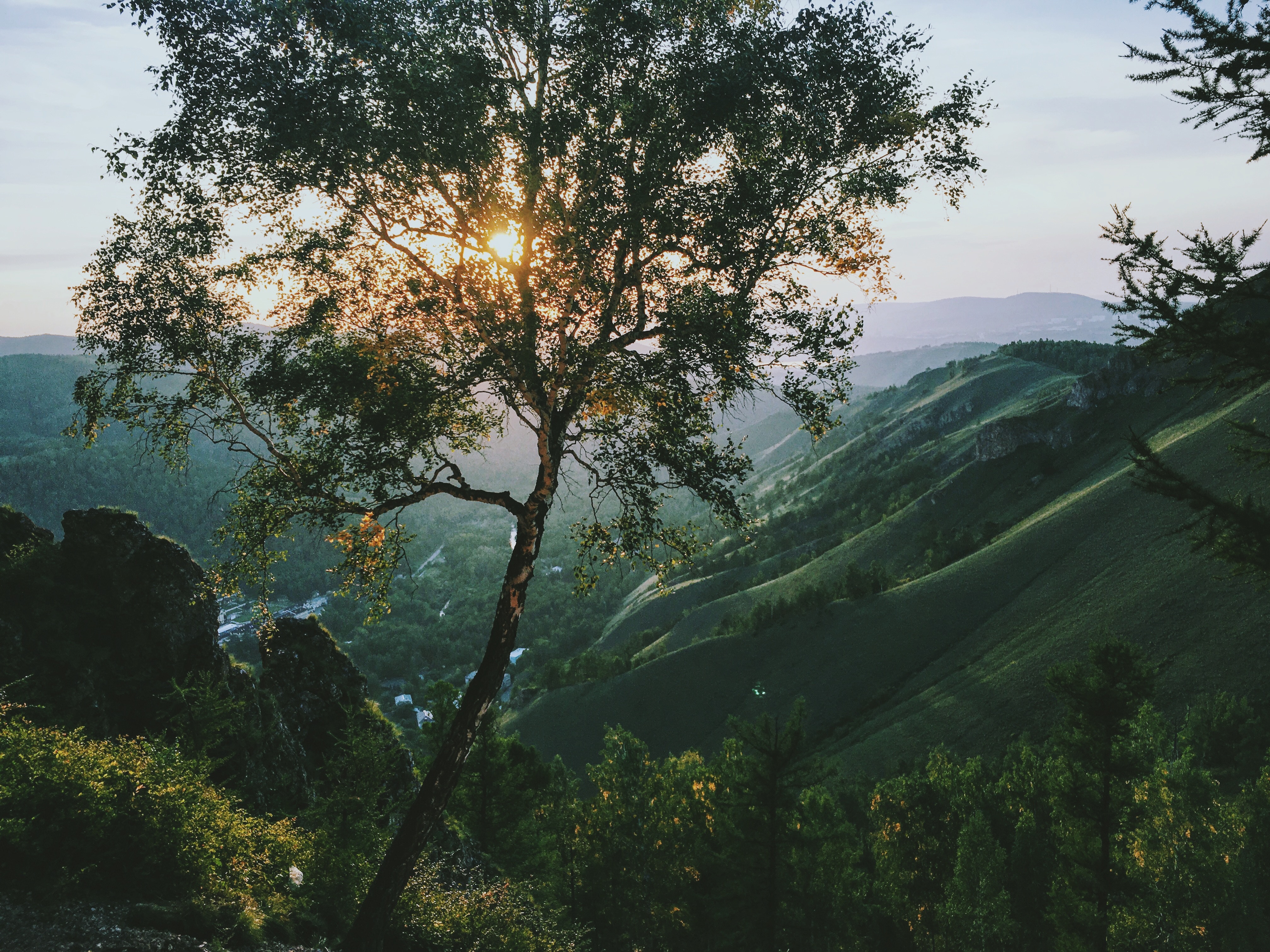Sunset over mountains with tree in foreground, Russia HD Wallpaper