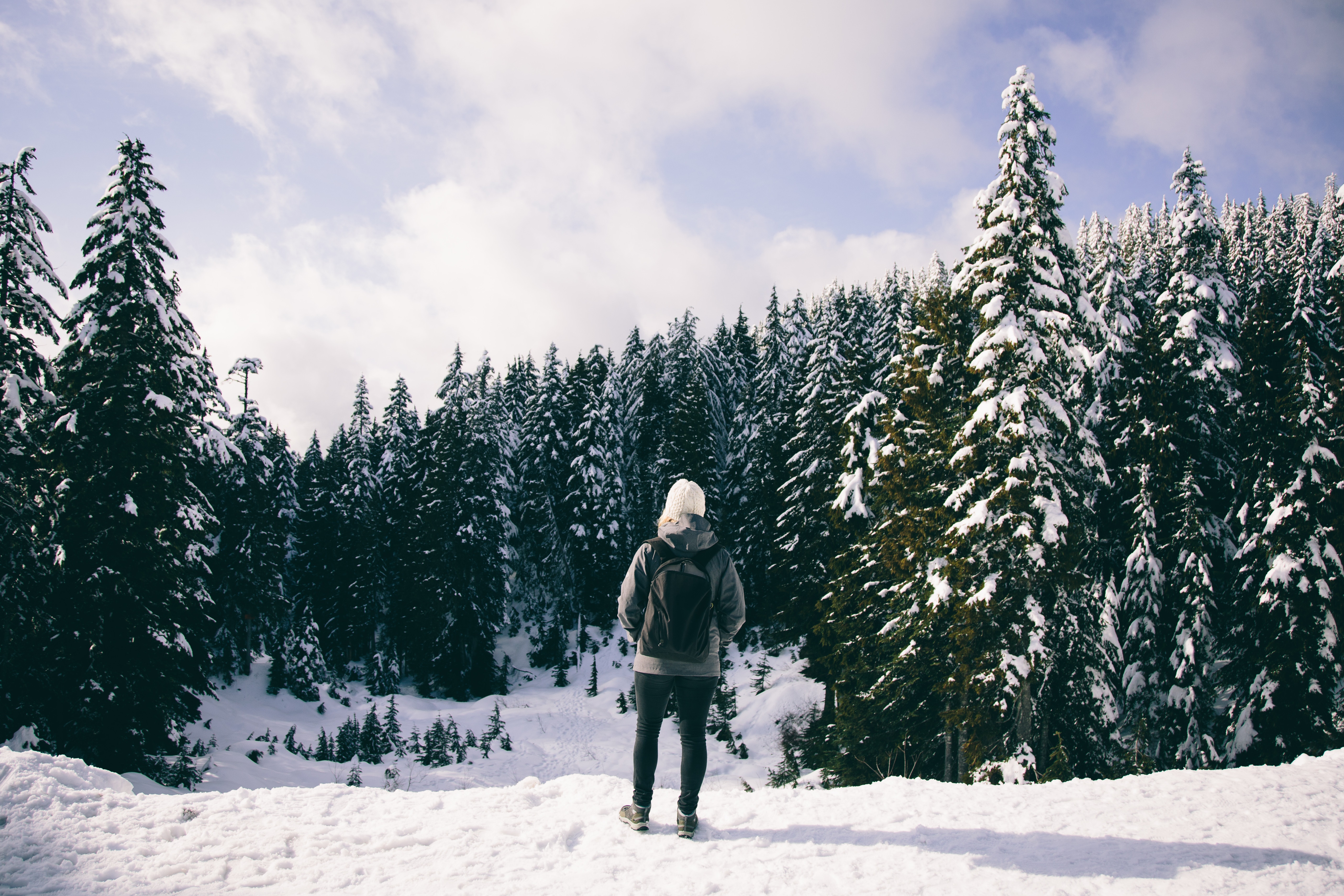 Person in a snowy forest with pine trees HD Wallpaper