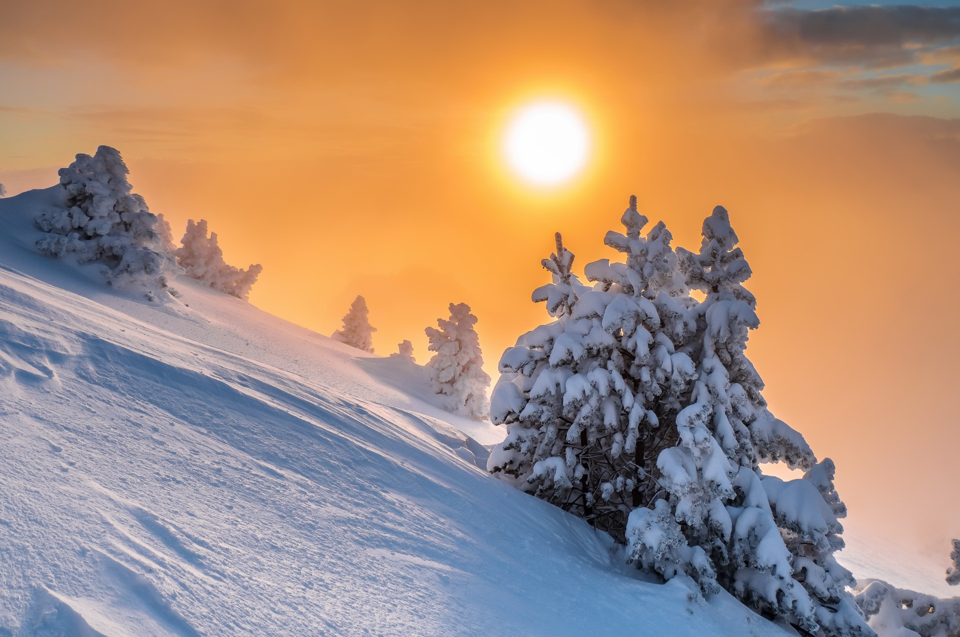 Snowy mountain slope with sun and trees HD Wallpaper