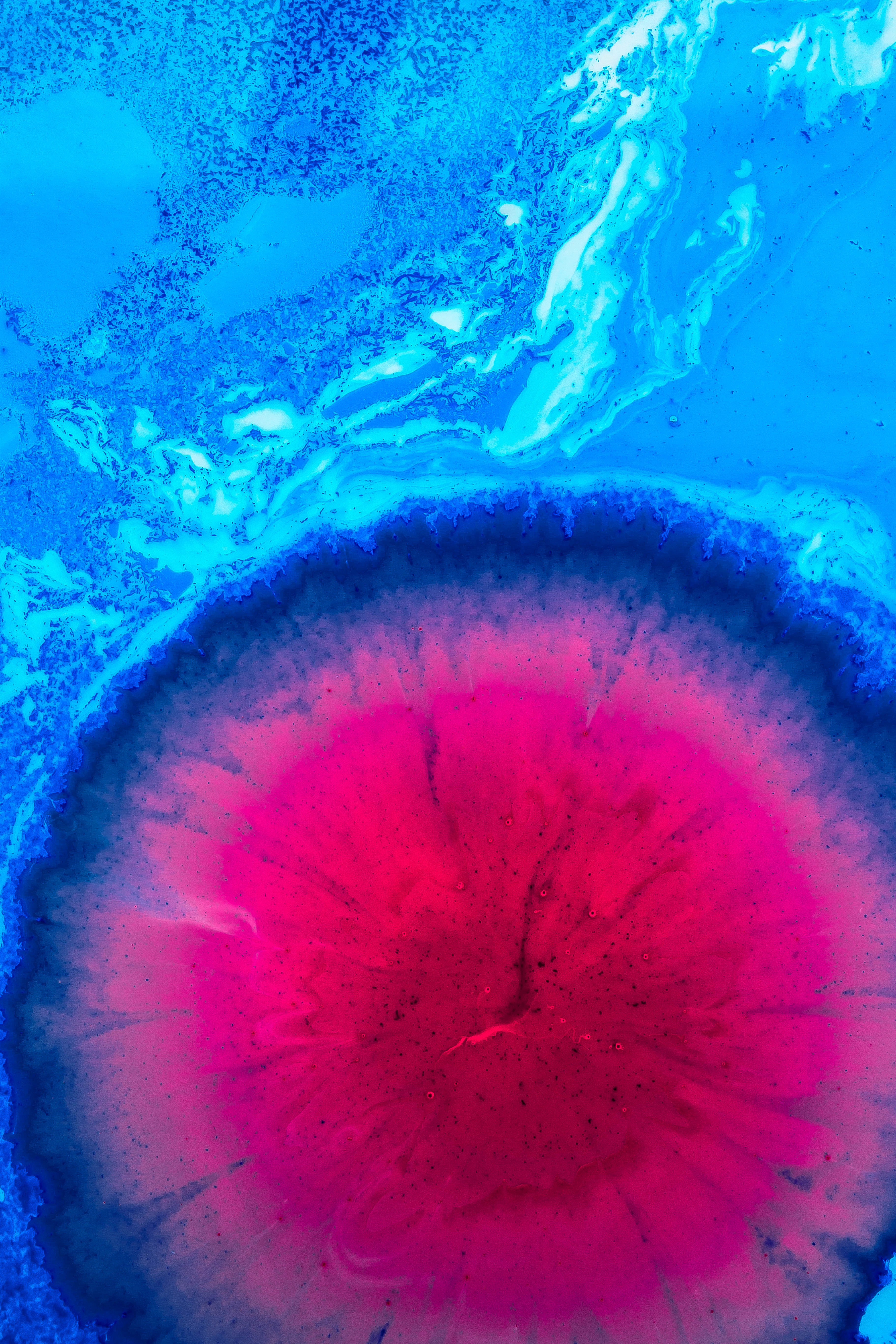 Abstract artwork with blue and pink colors HD Wallpaper