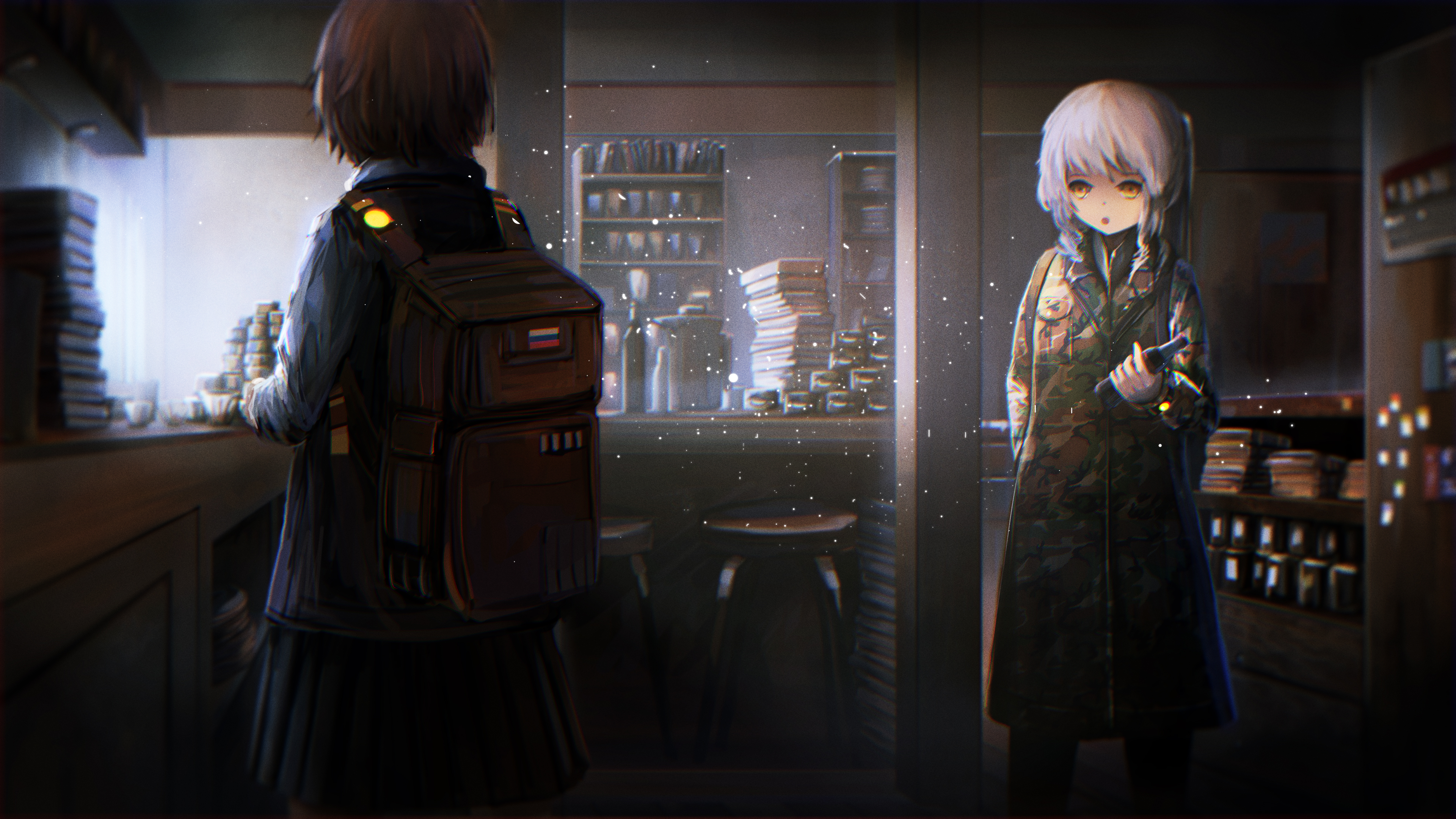 Two anime girls in a room with shelves of books HD Wallpaper