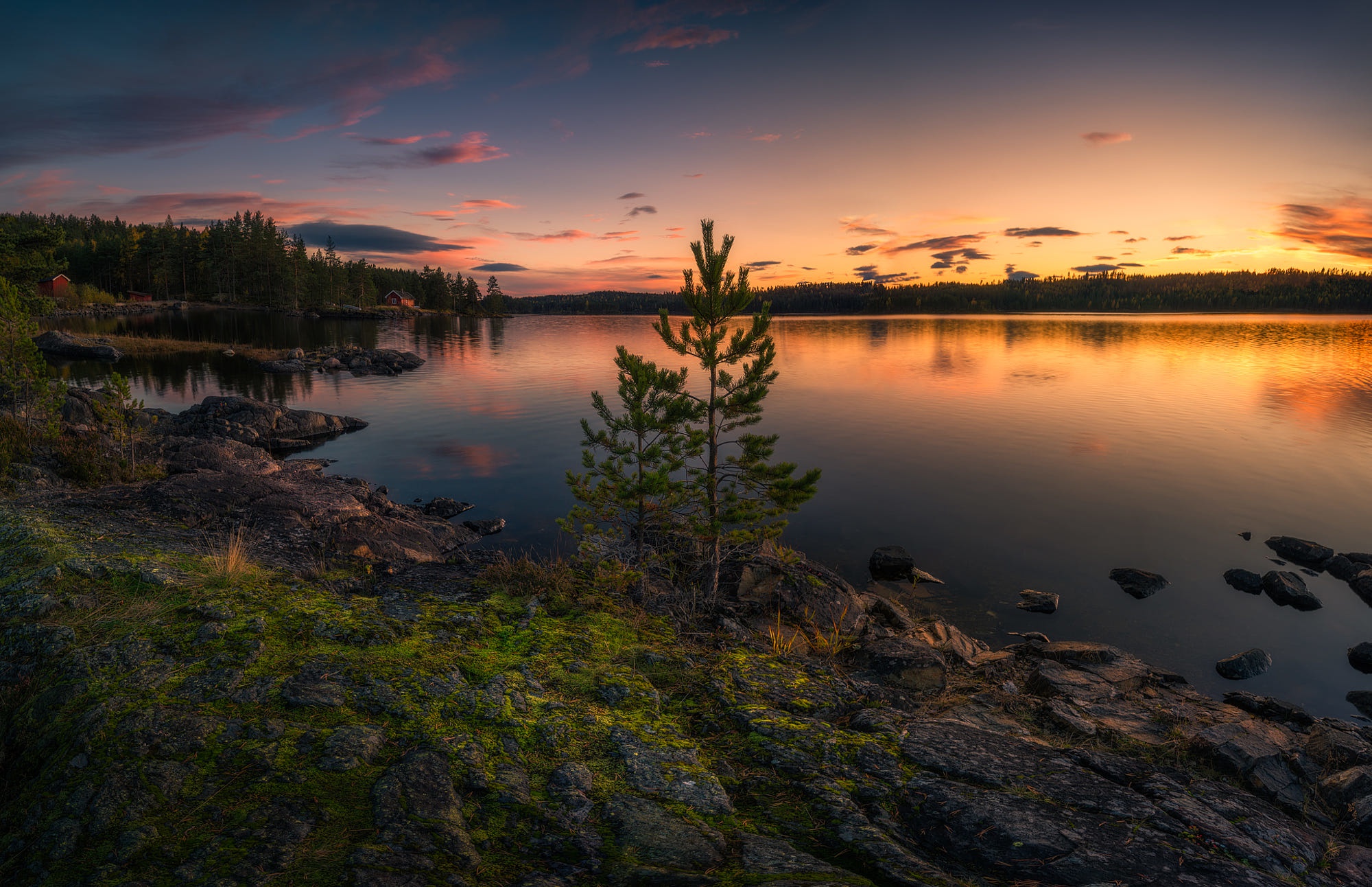 Sunset over a rocky lake shore with pine trees HD Wallpaper