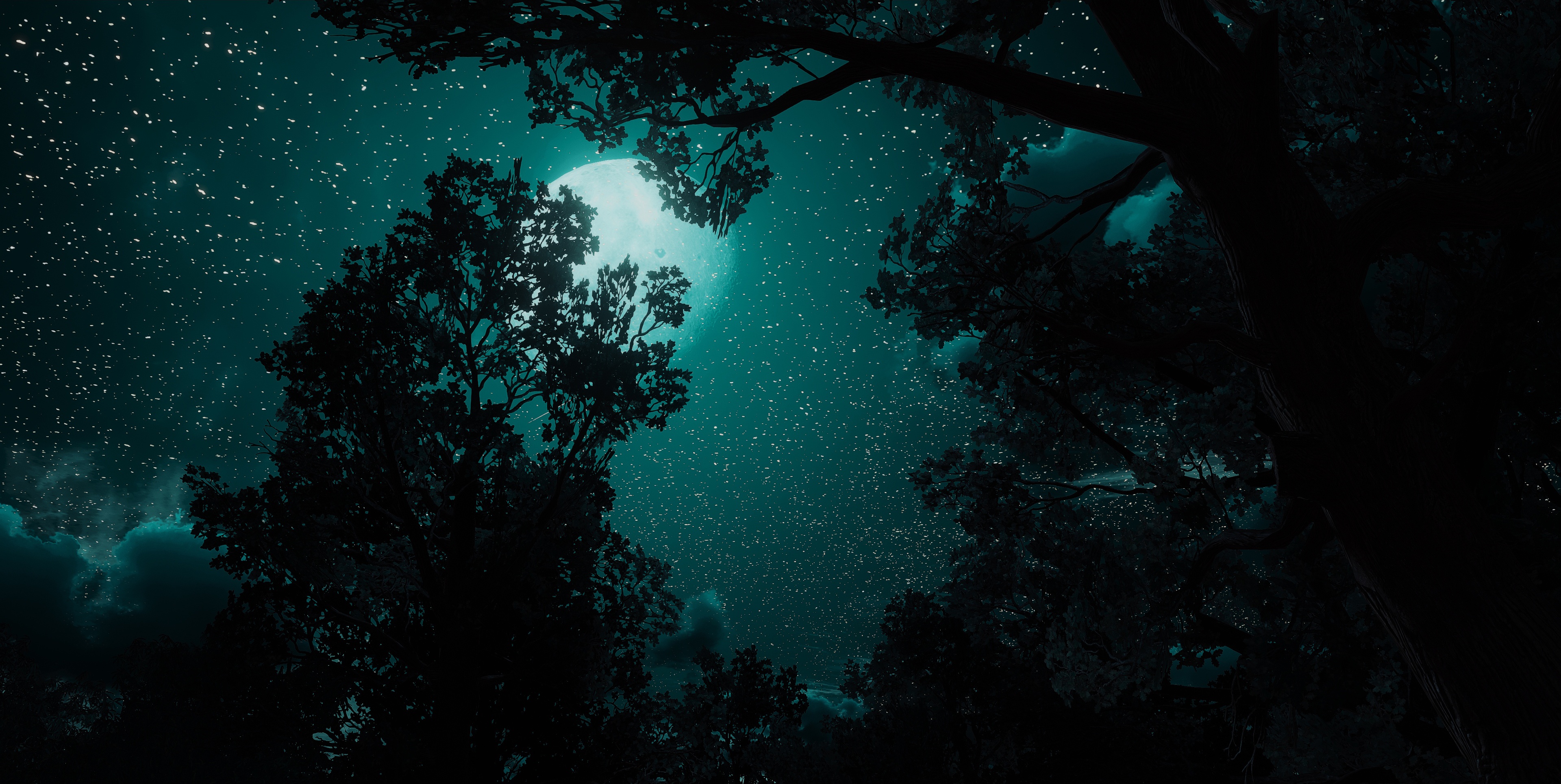 The Witcher 3: Wild Hunt night sky with moon and stars HD Wallpaper