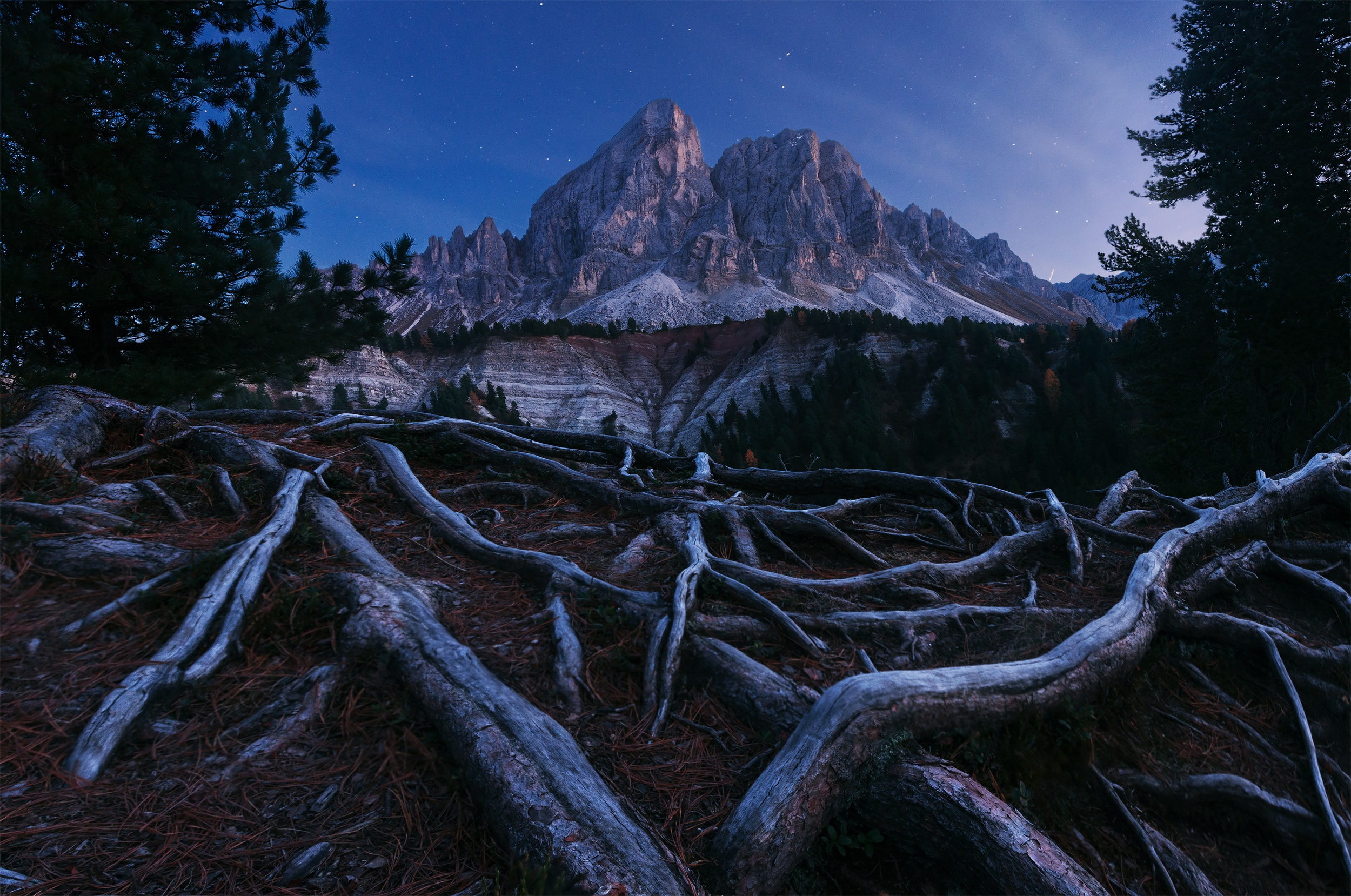 Exposed tree roots in front of mountains at night HD Wallpaper