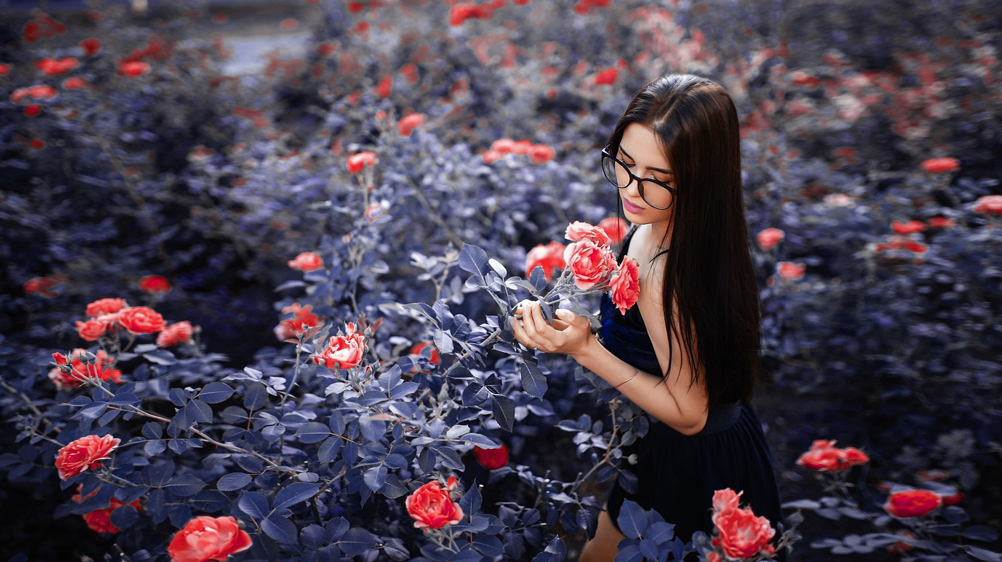 Woman in glasses smelling red roses in a garden HD Wallpaper