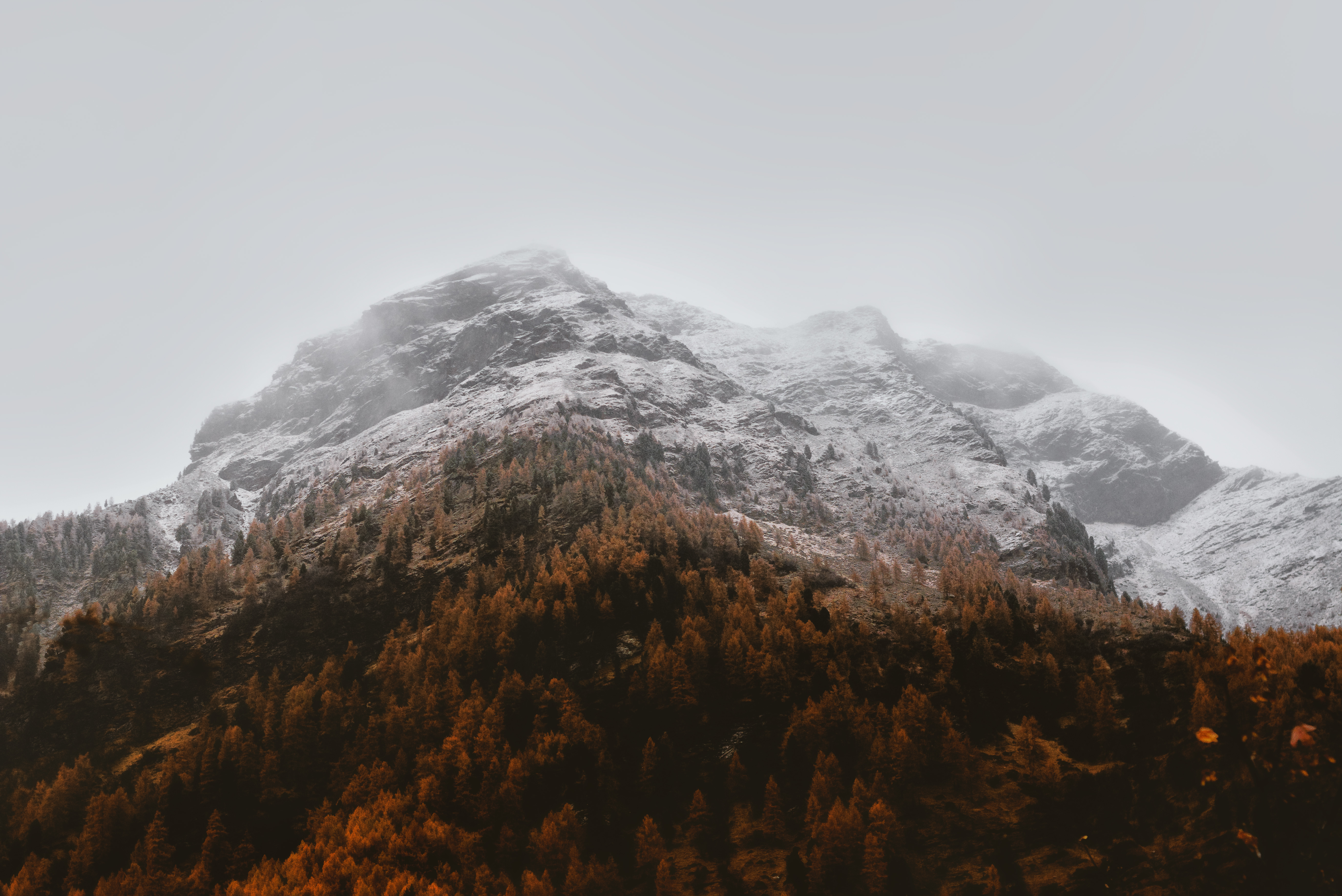 Snow-capped mountains with autumn trees under cloudy sky HD Wallpaper