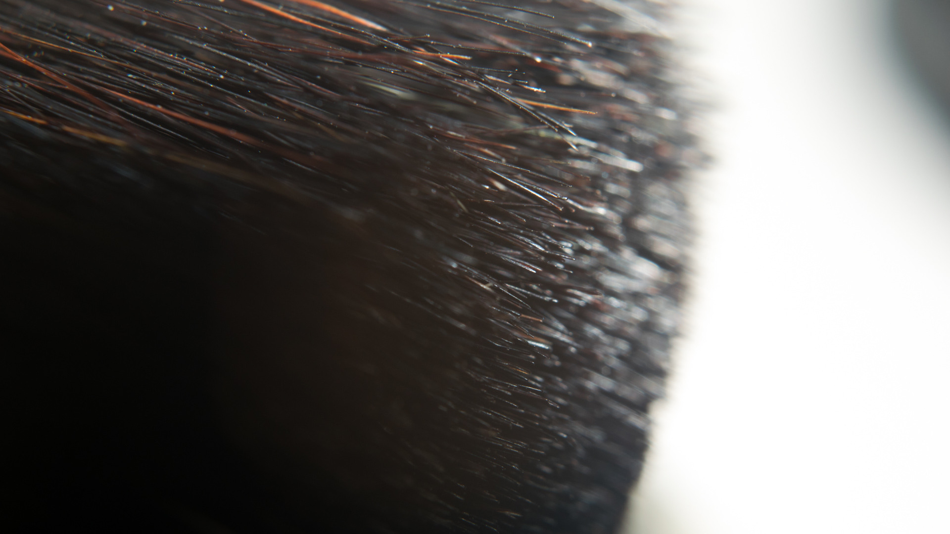 Macro photography of dark brush bristles HD Wallpaper
