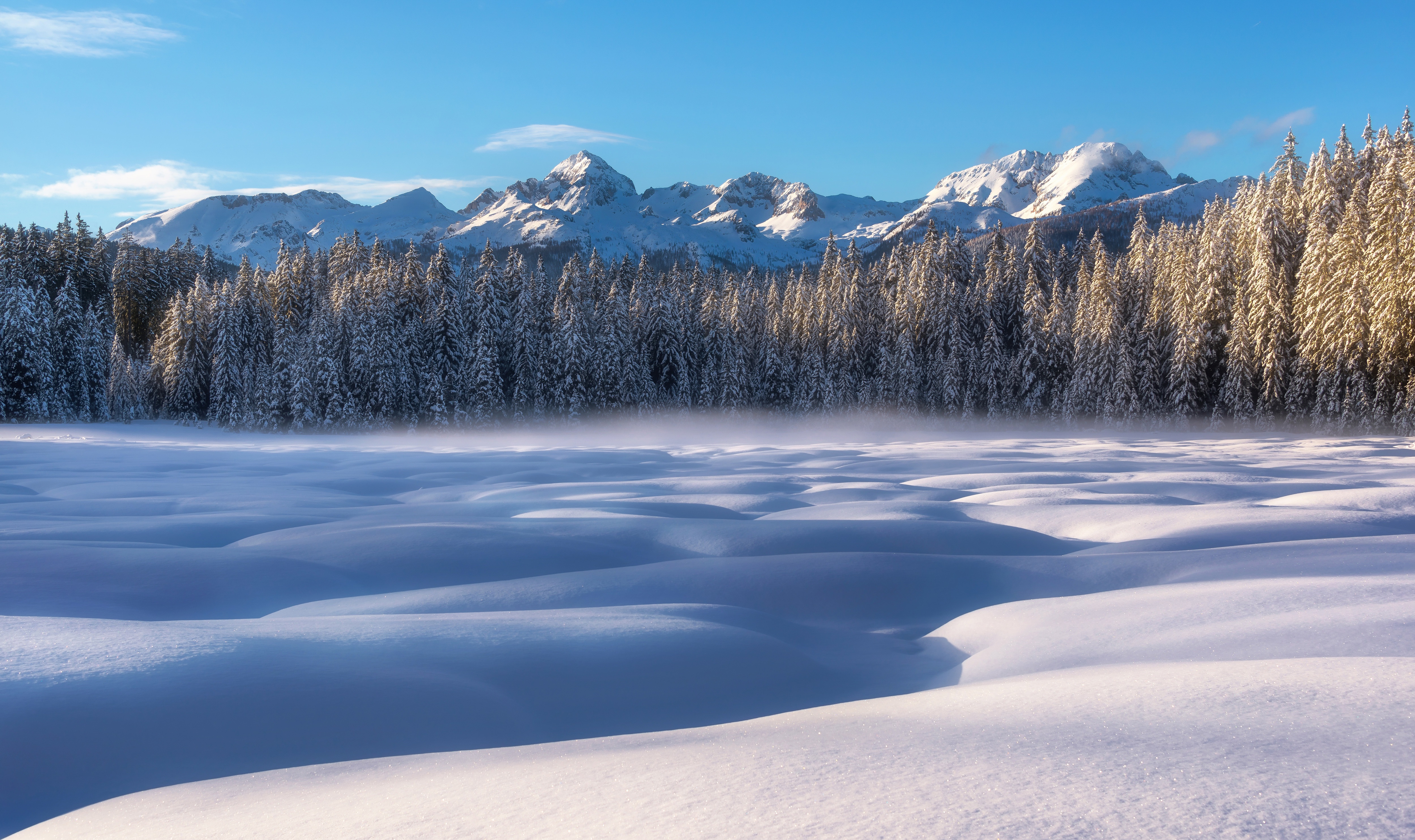 Snowy forest and mountains under a blue sky HD Wallpaper