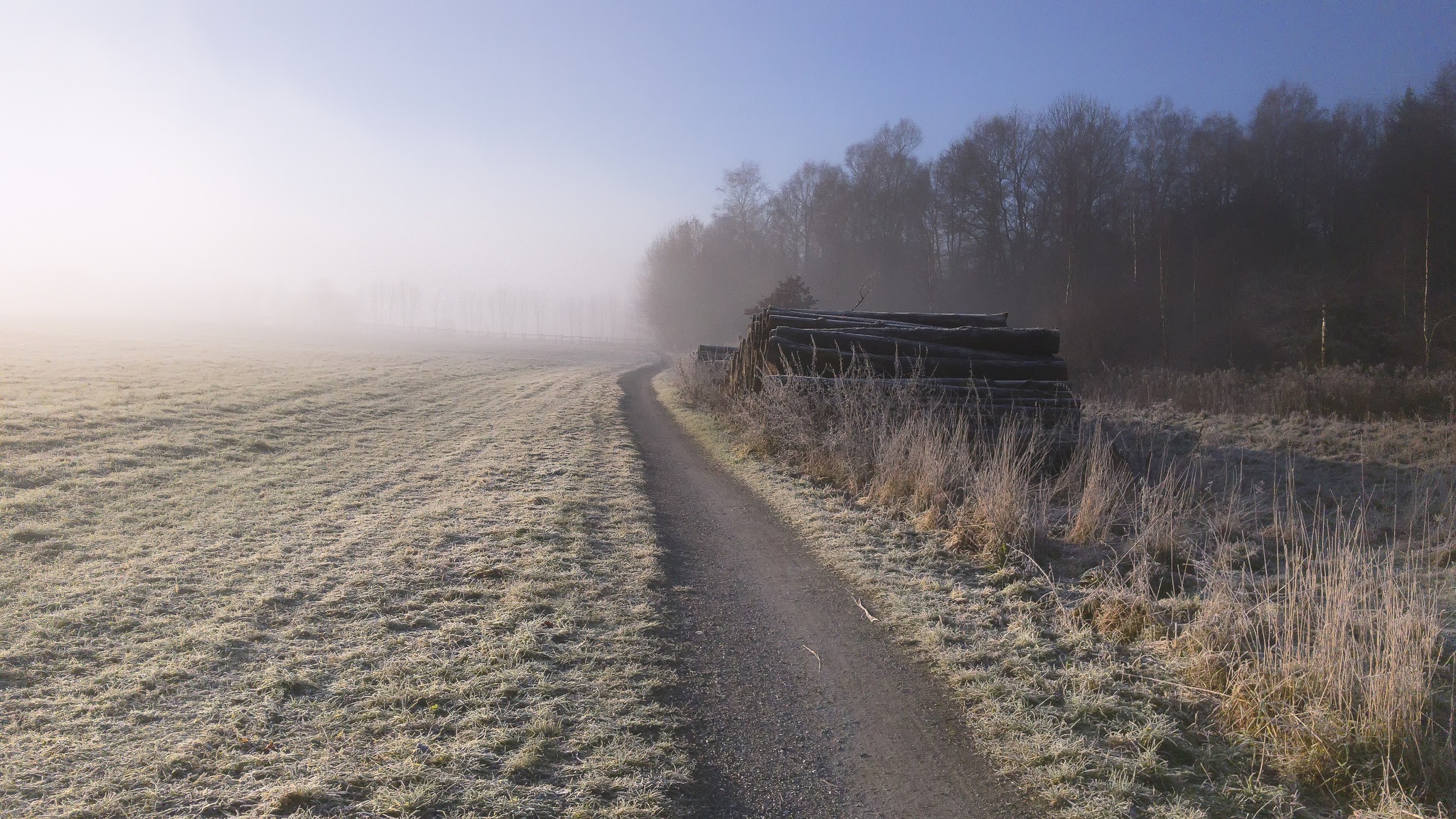 Misty morning path through frosted fields and woods HD Wallpaper