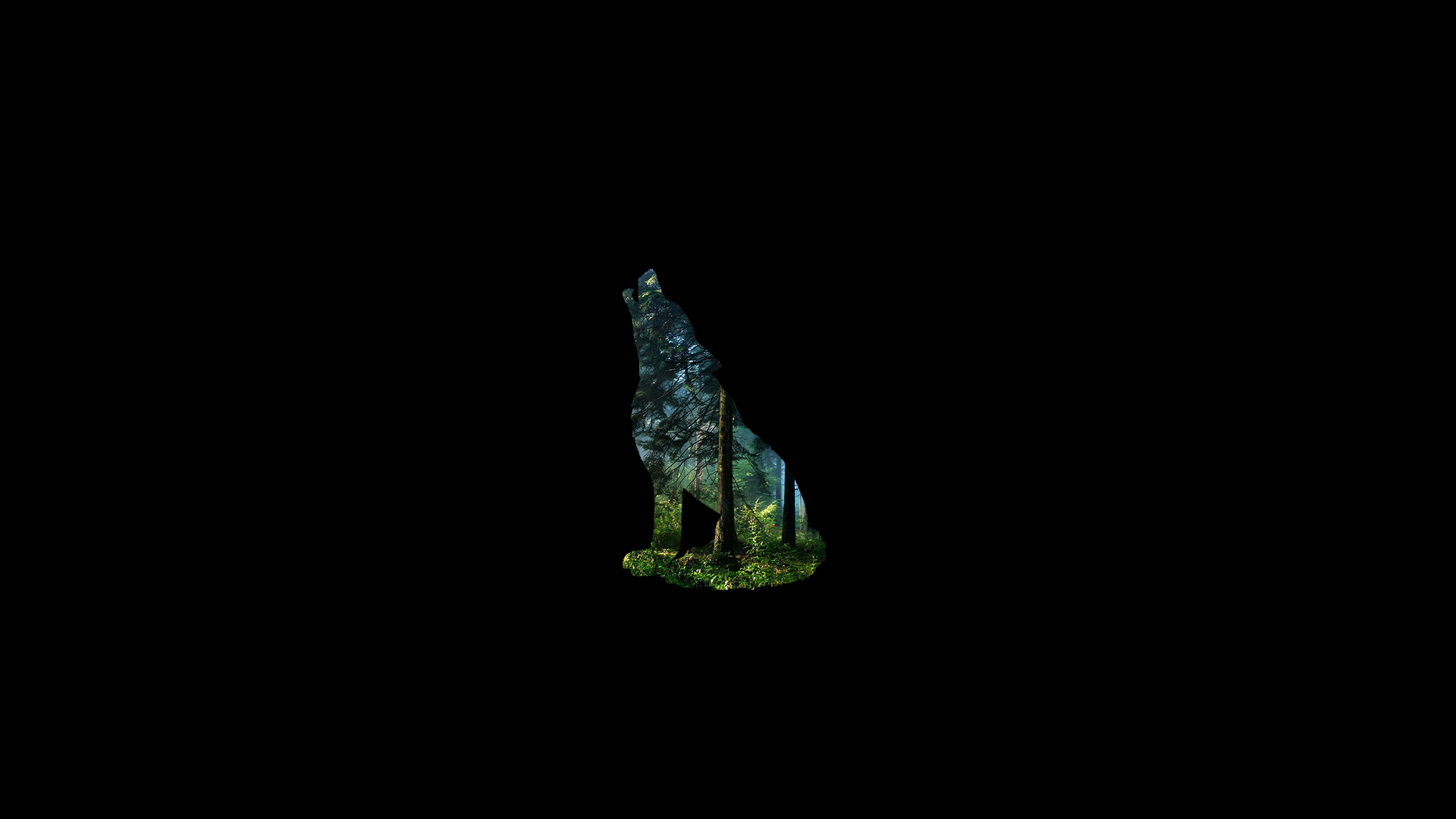 Silhouette of a wolf howling in a forest HD Wallpaper