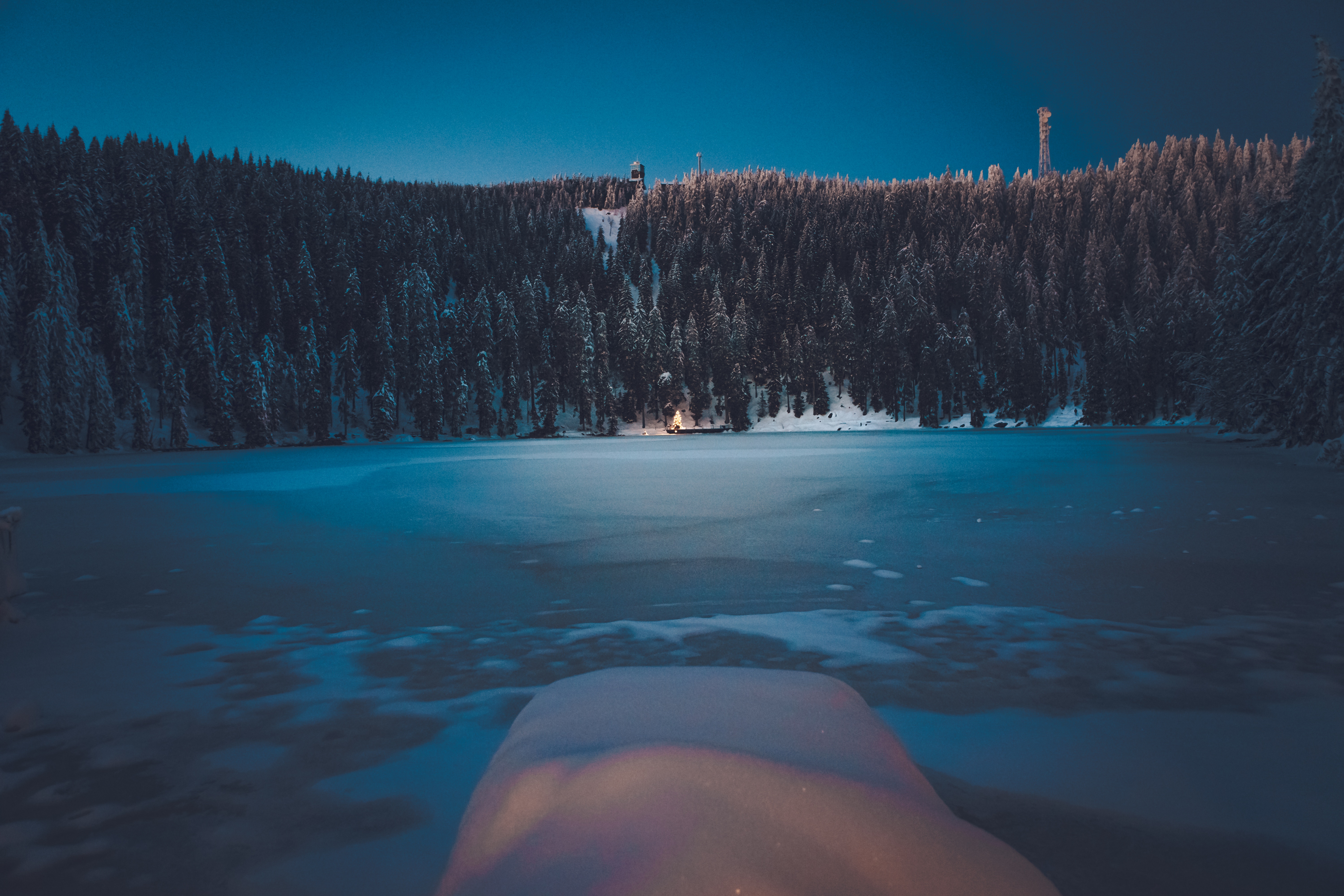 Frozen lake and snow-covered forest at dusk HD Wallpaper