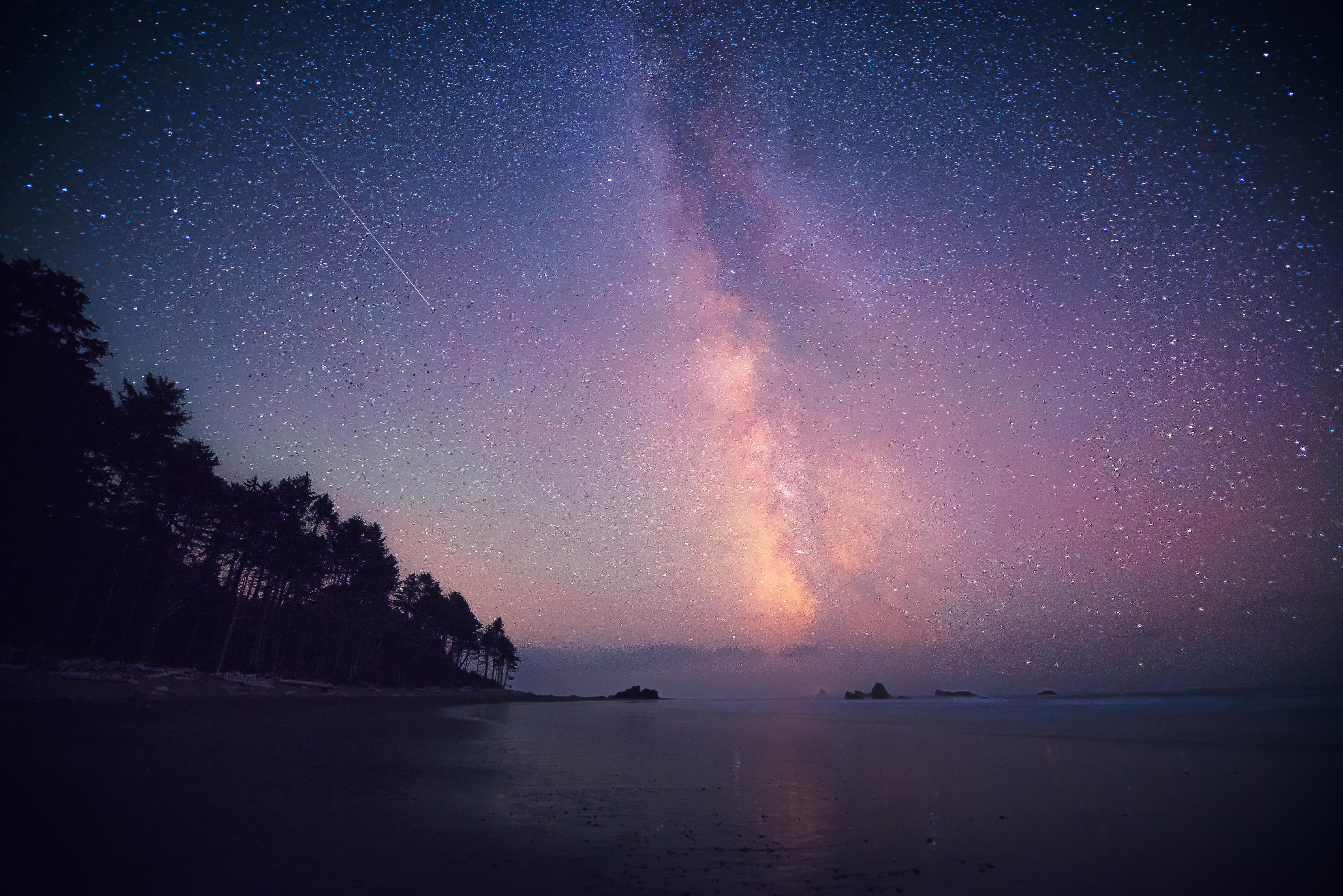 Milky Way over a beach and forest at night HD Wallpaper