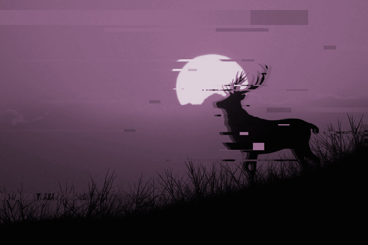 Deer silhouetted against a glitchy moon HD Wallpaper