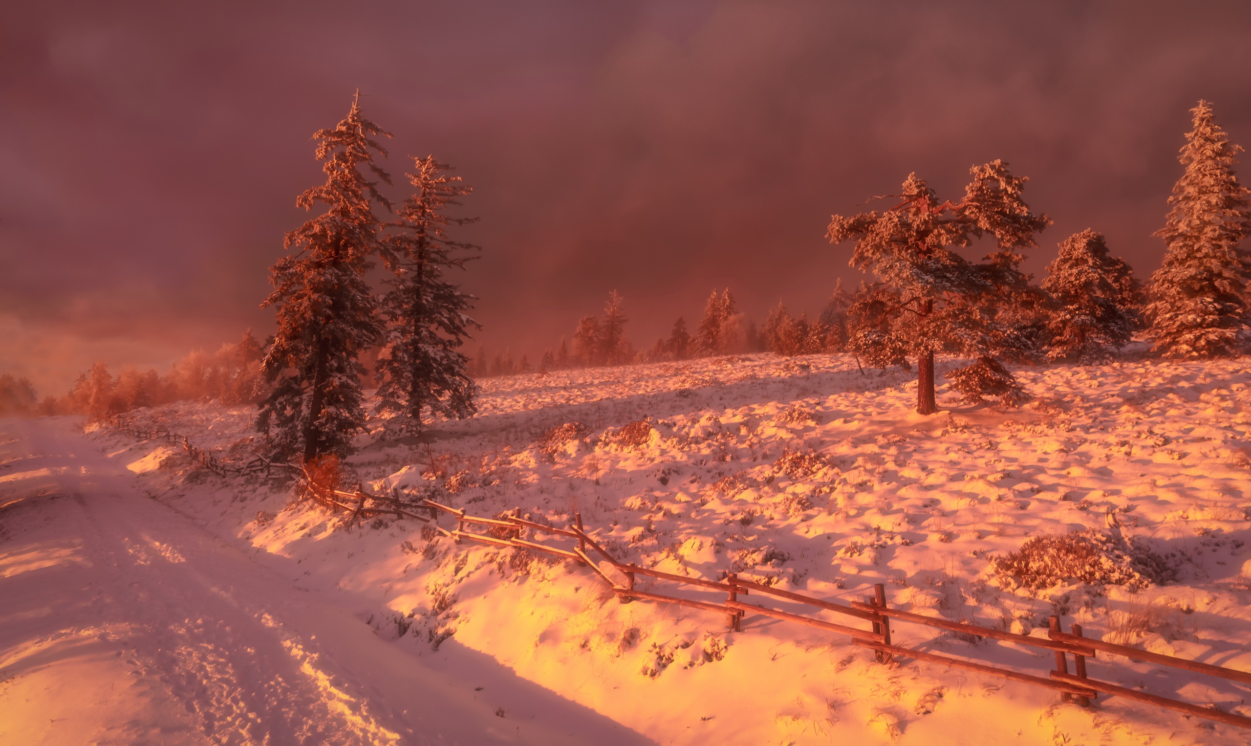 Snowy landscape with trees at sunset HD Wallpaper