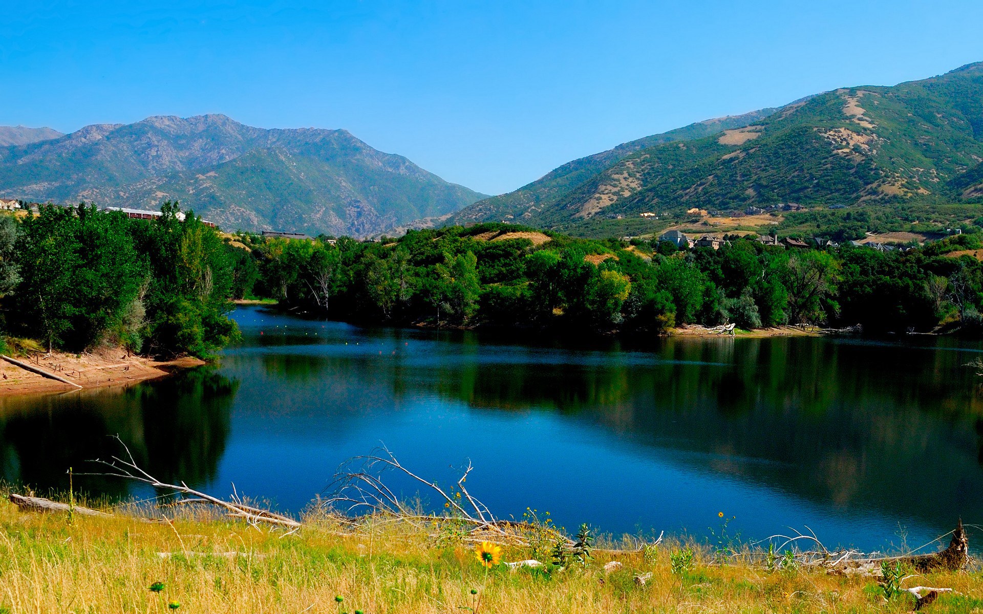 Lake and Mountains with Trees HD Wallpaper