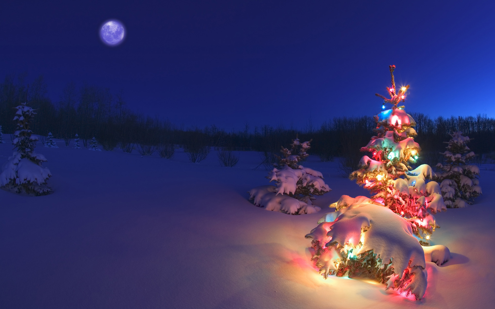 Christmas tree with lights in snowy landscape at night HD Wallpaper