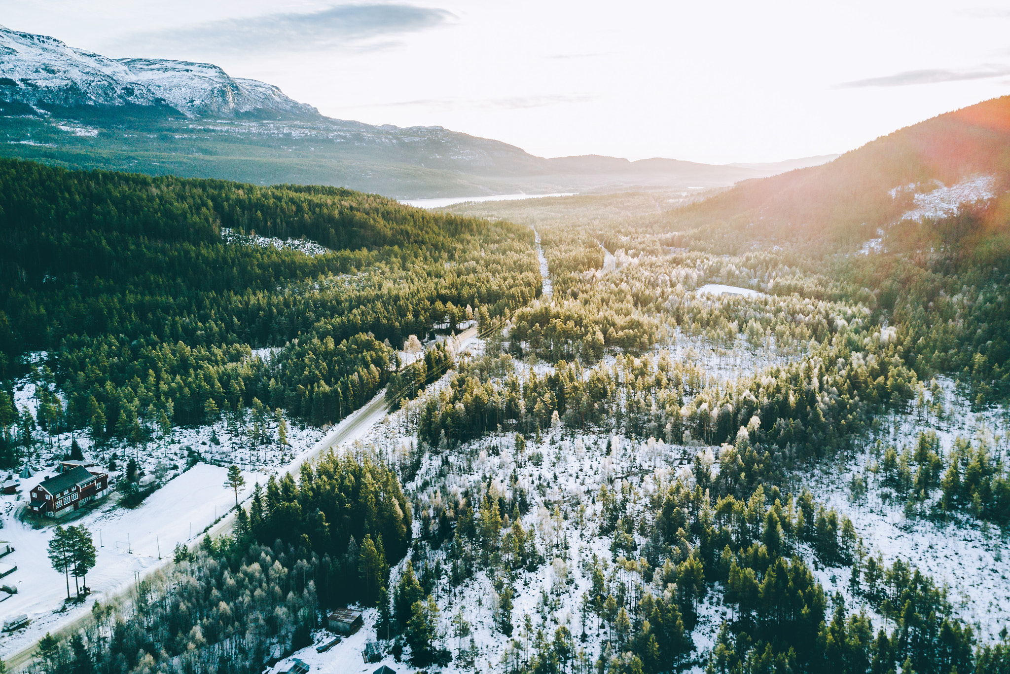 Aerial view of a snow-covered forest and mountains HD Wallpaper