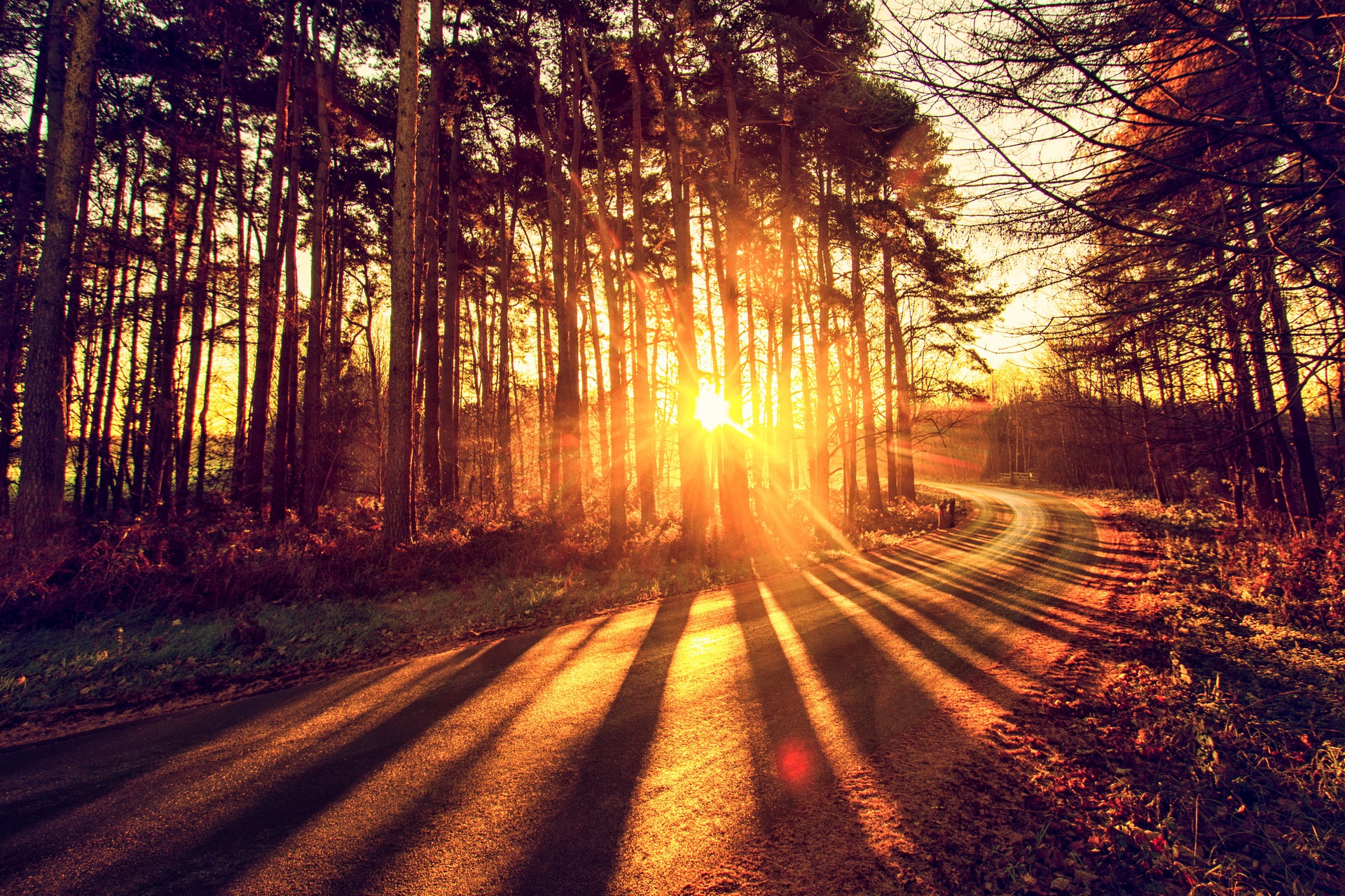 Sunlight filtering through trees onto a road HD Wallpaper