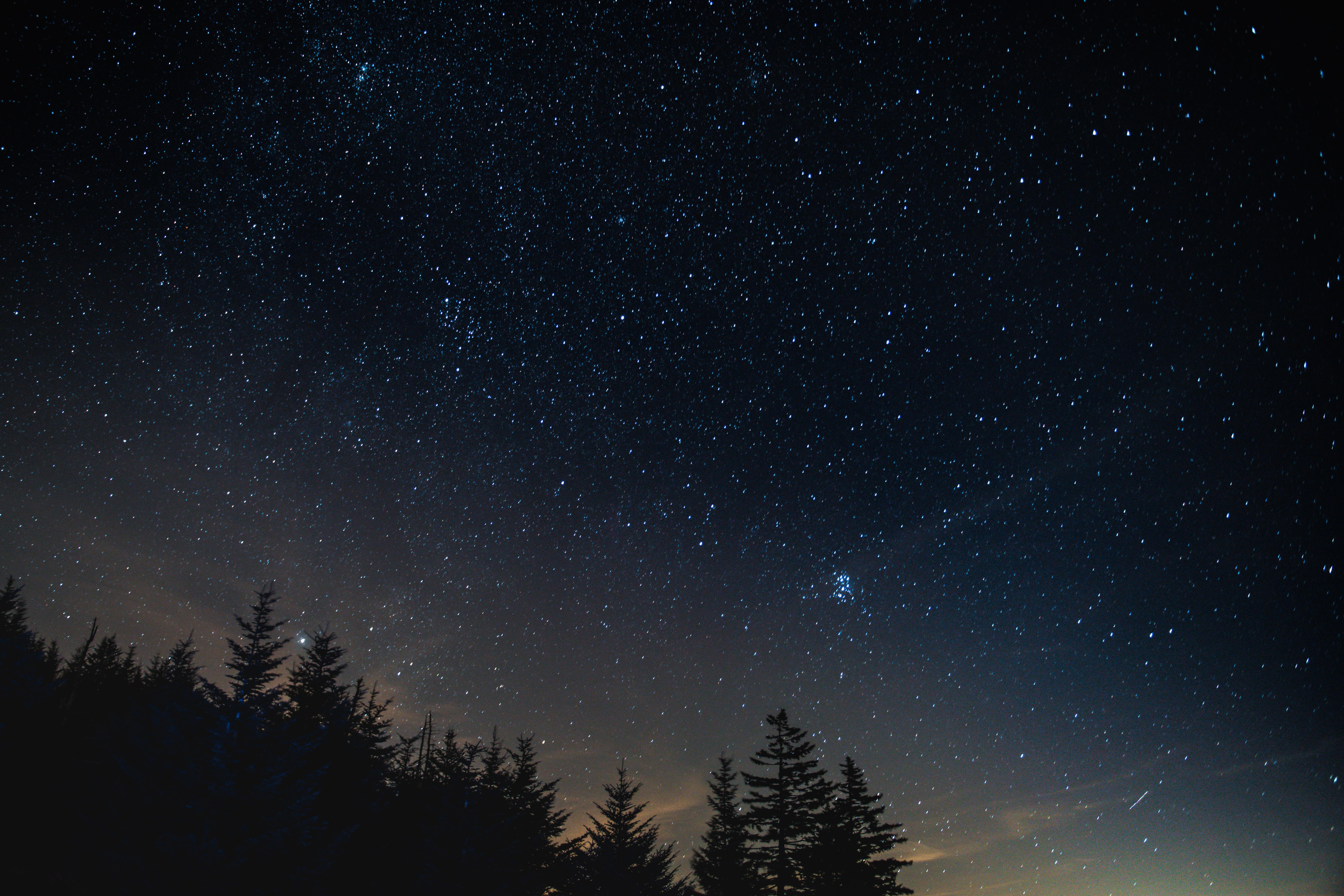 Starry night sky over a silhouetted forest HD Wallpaper