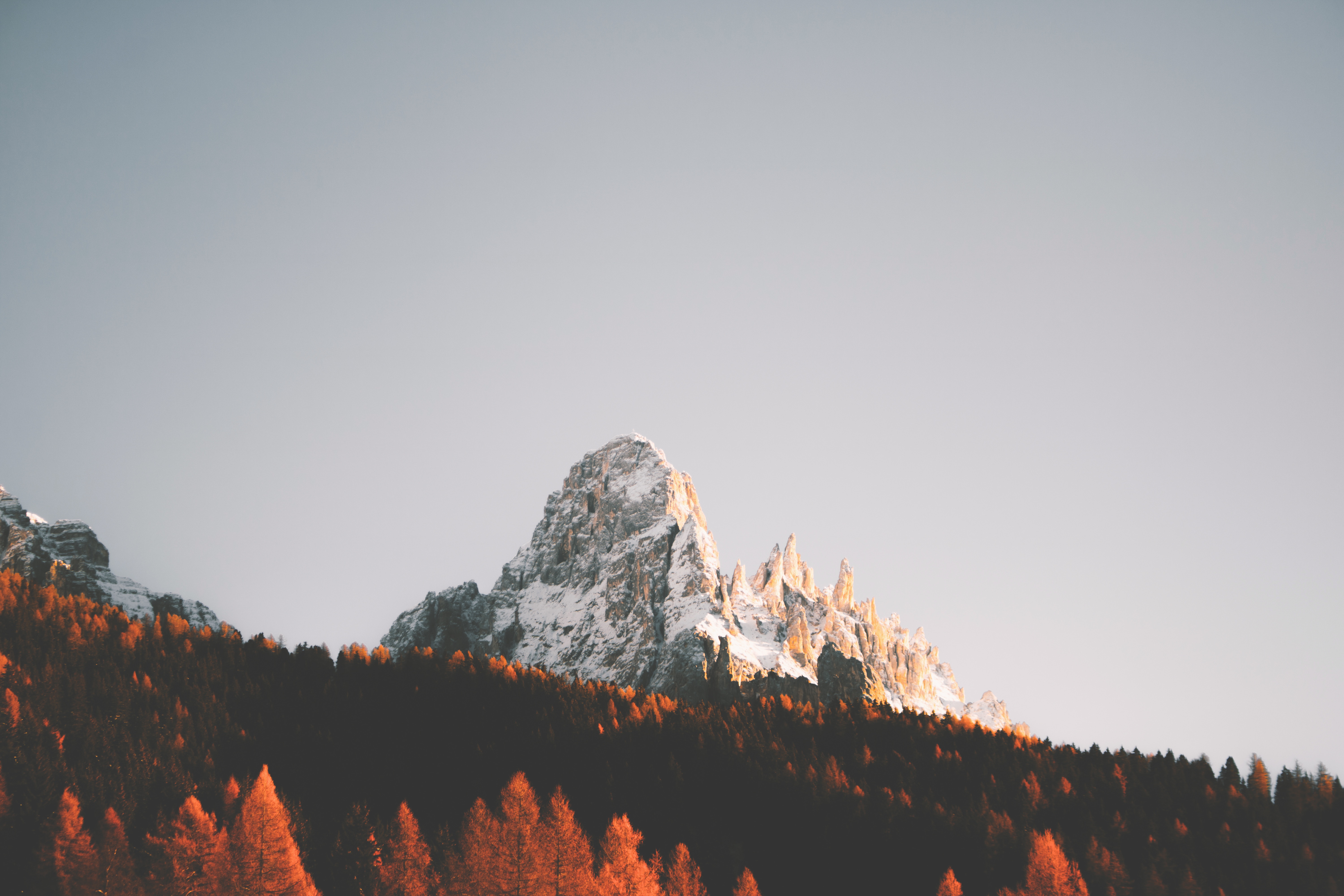 Snow-capped mountain peak above autumn forest HD Wallpaper