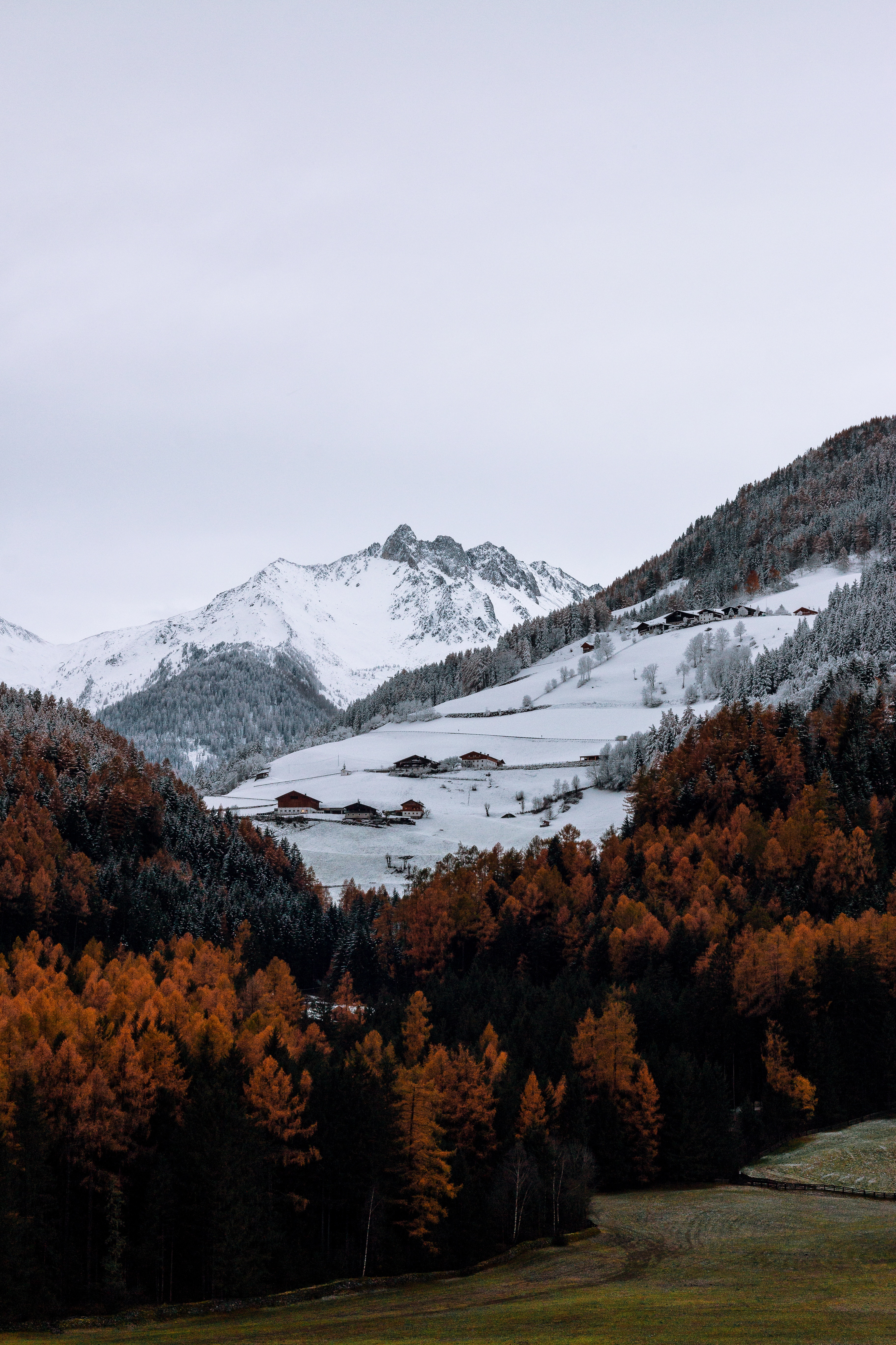 Snow-covered mountains and autumn trees in a valley HD Wallpaper
