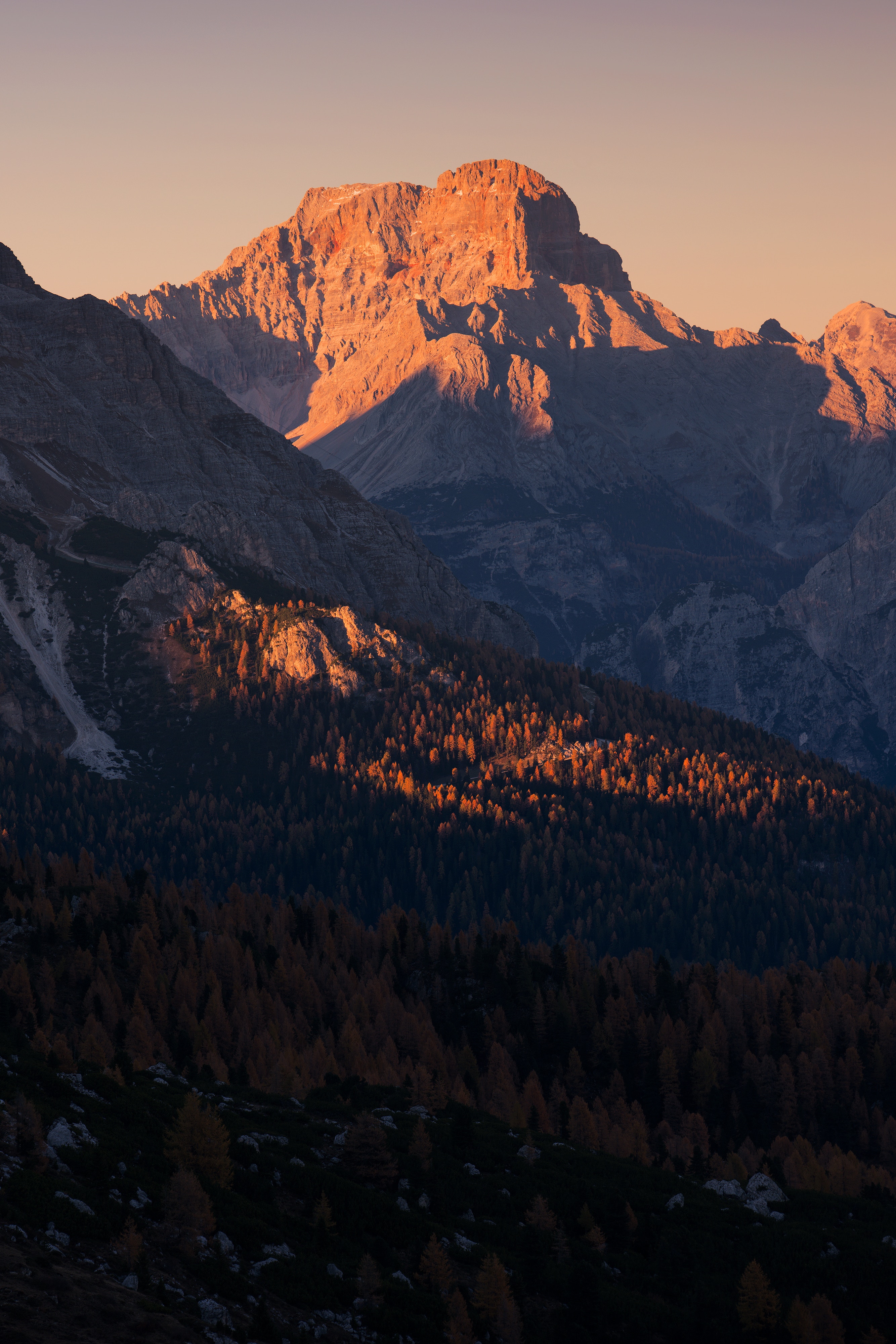 Mountains and forest at sunset HD Wallpaper