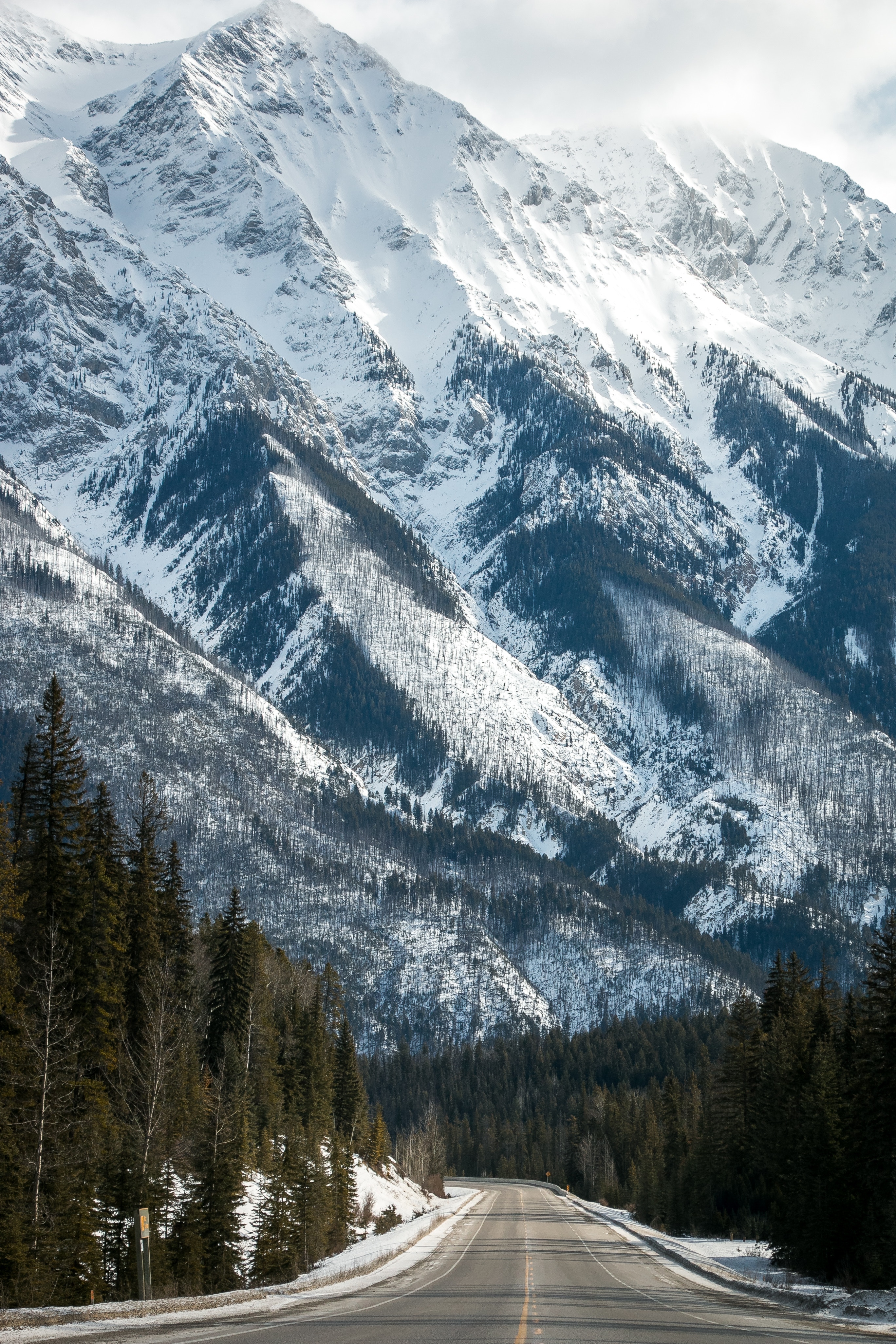 Snowy Mountains and Forest Road HD Wallpaper