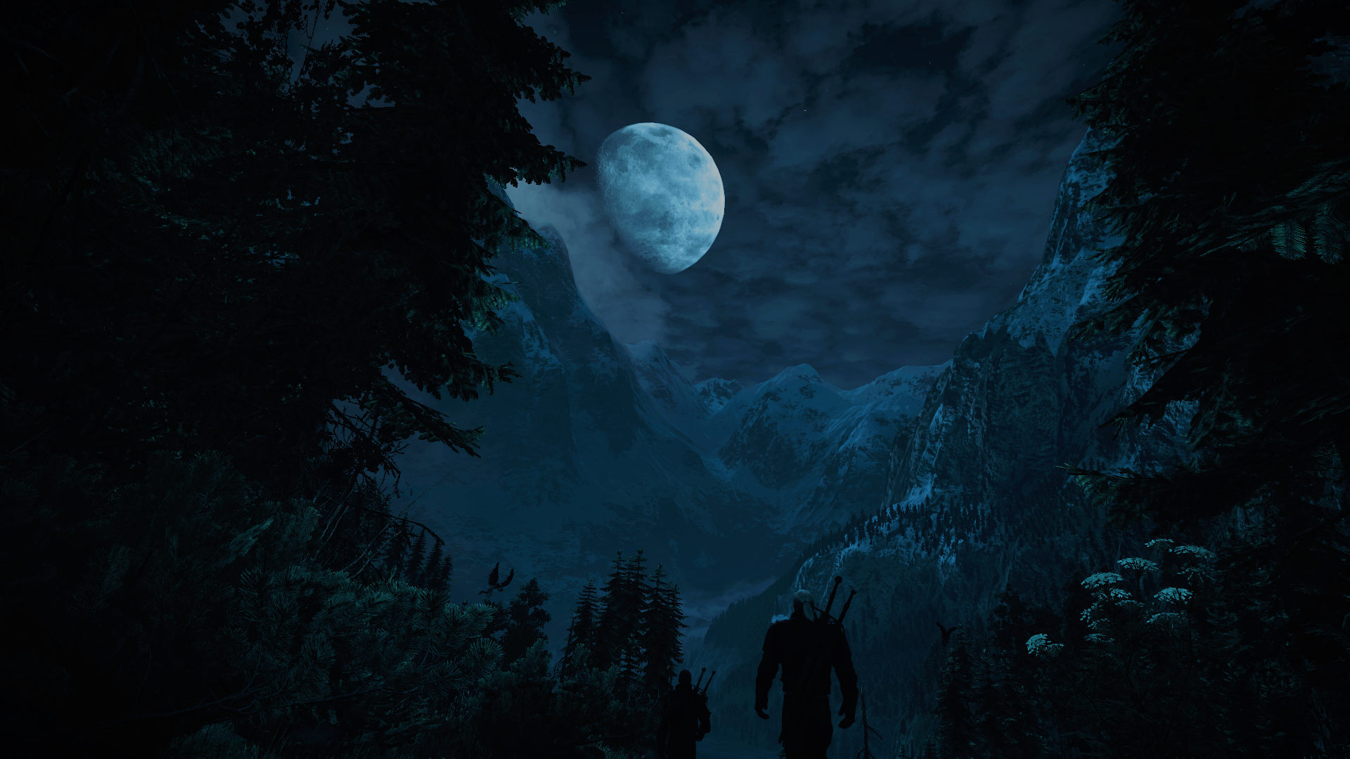 Geralt and another Witcher in a mountain valley at night HD Wallpaper