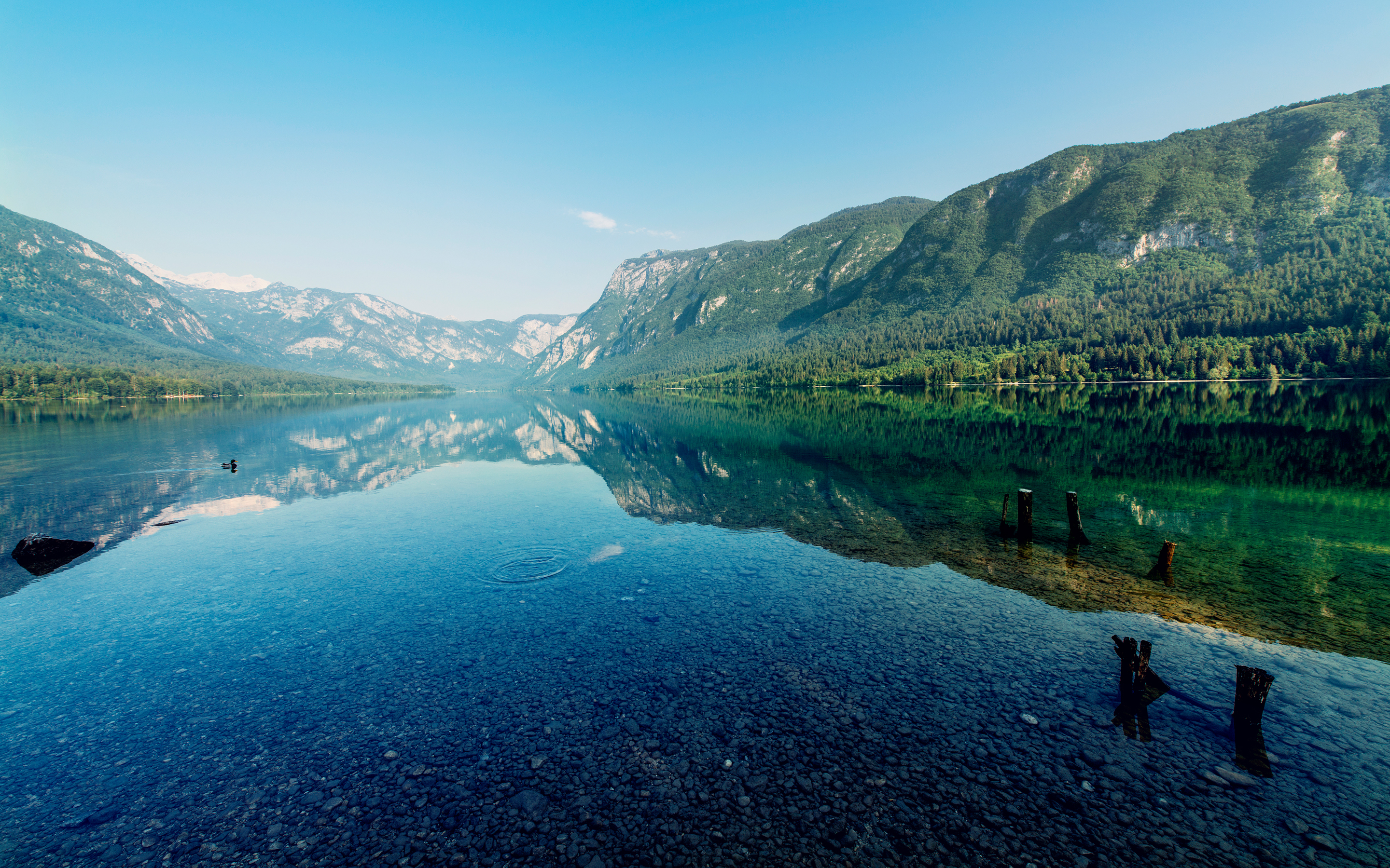 Lake reflection with mountains and trees HD Wallpaper