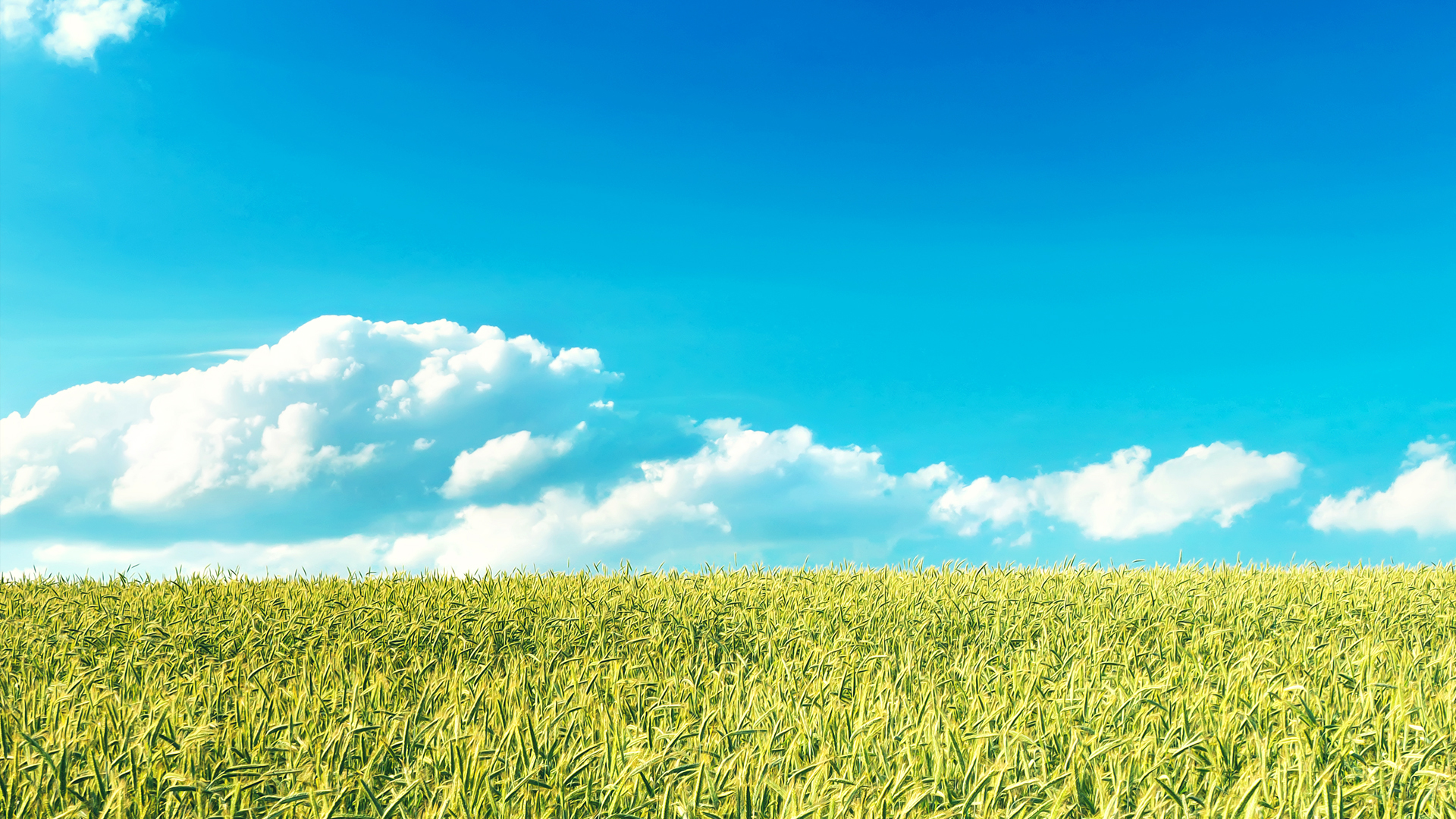 Green field under a blue sky with clouds HD Wallpaper