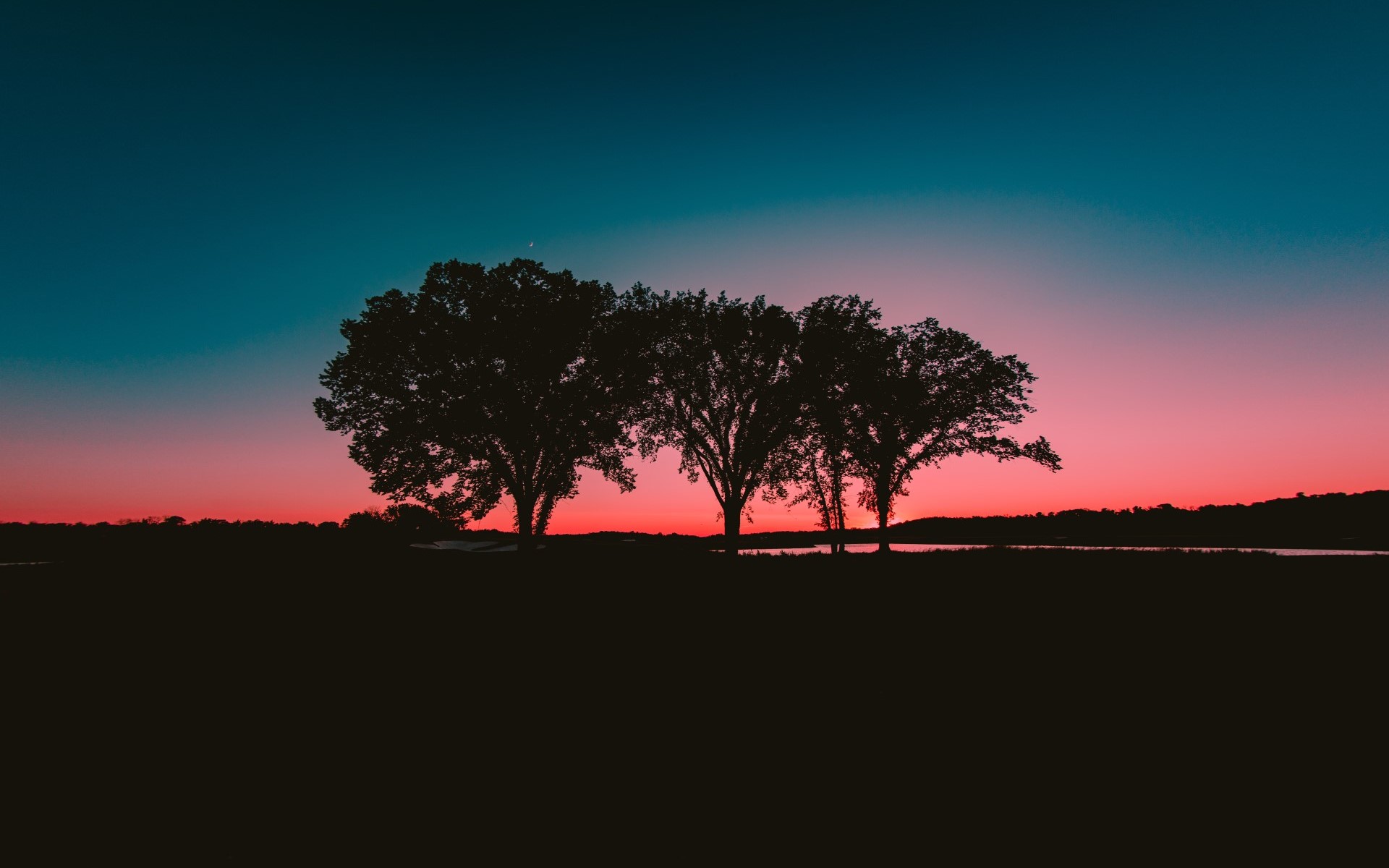 Silhouetted trees against a colorful sunset sky HD Wallpaper