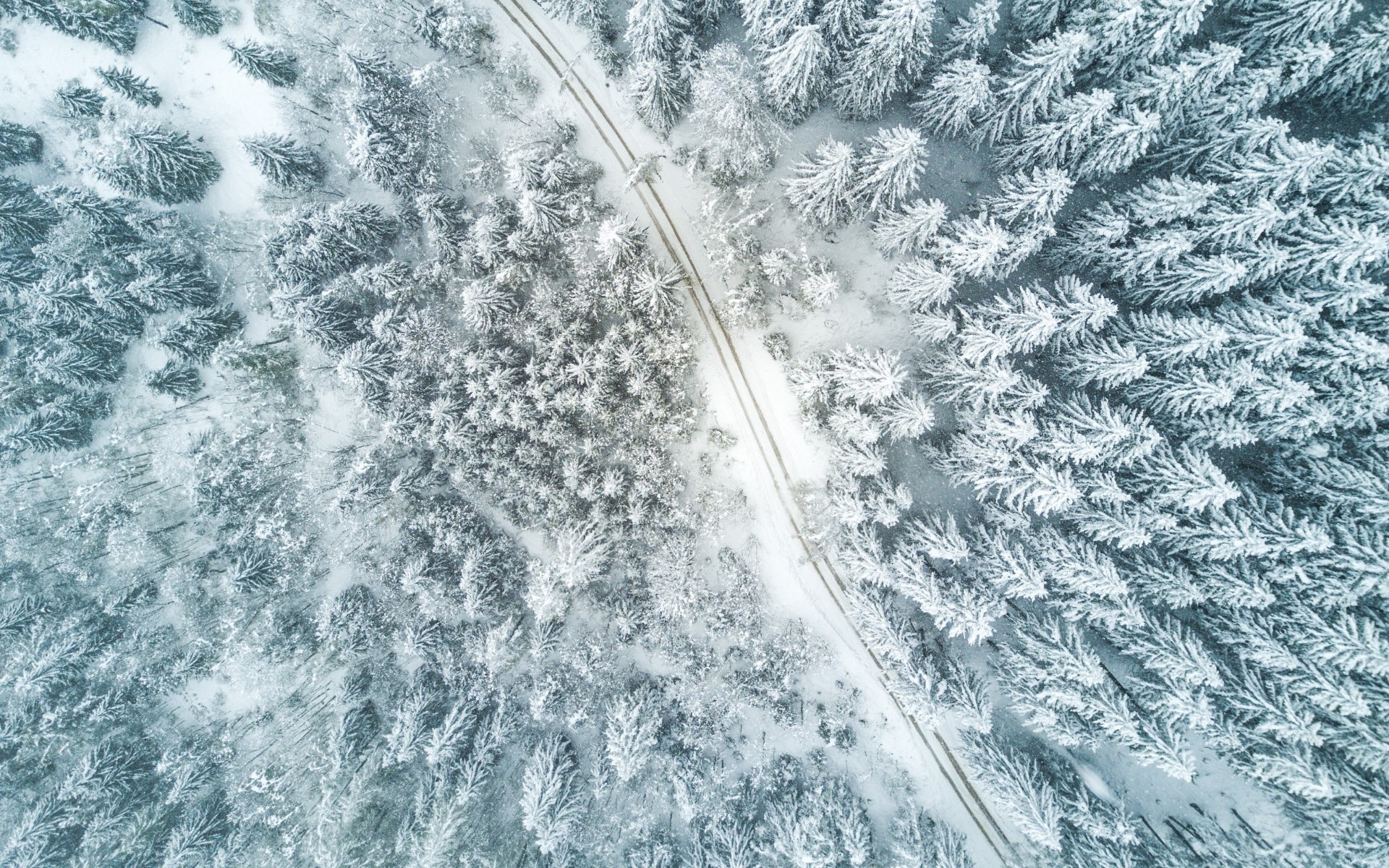 Aerial view of a snow-covered forest with a road HD Wallpaper