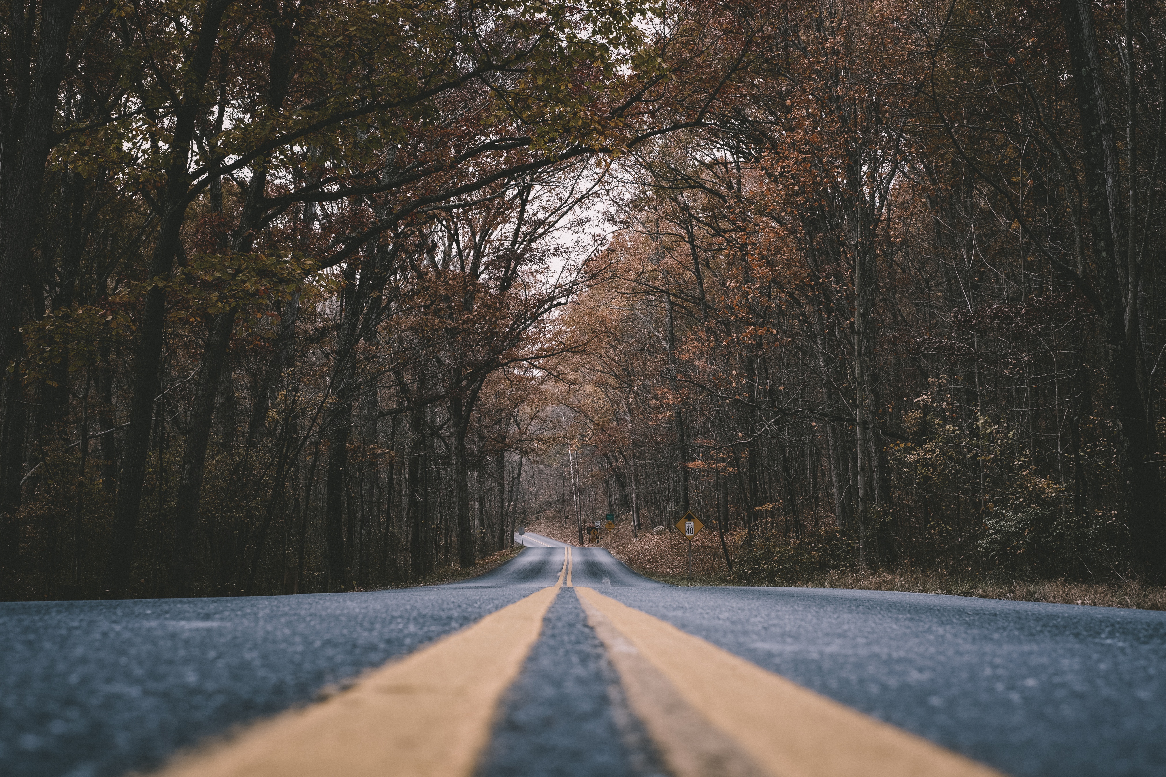 Road with yellow lines through autumn forest HD Wallpaper