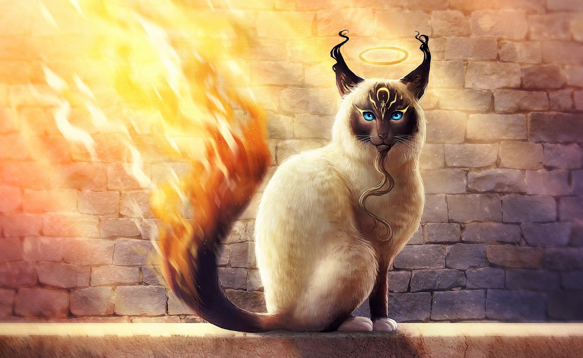 Siamese cat with fiery tail and halo HD Wallpaper