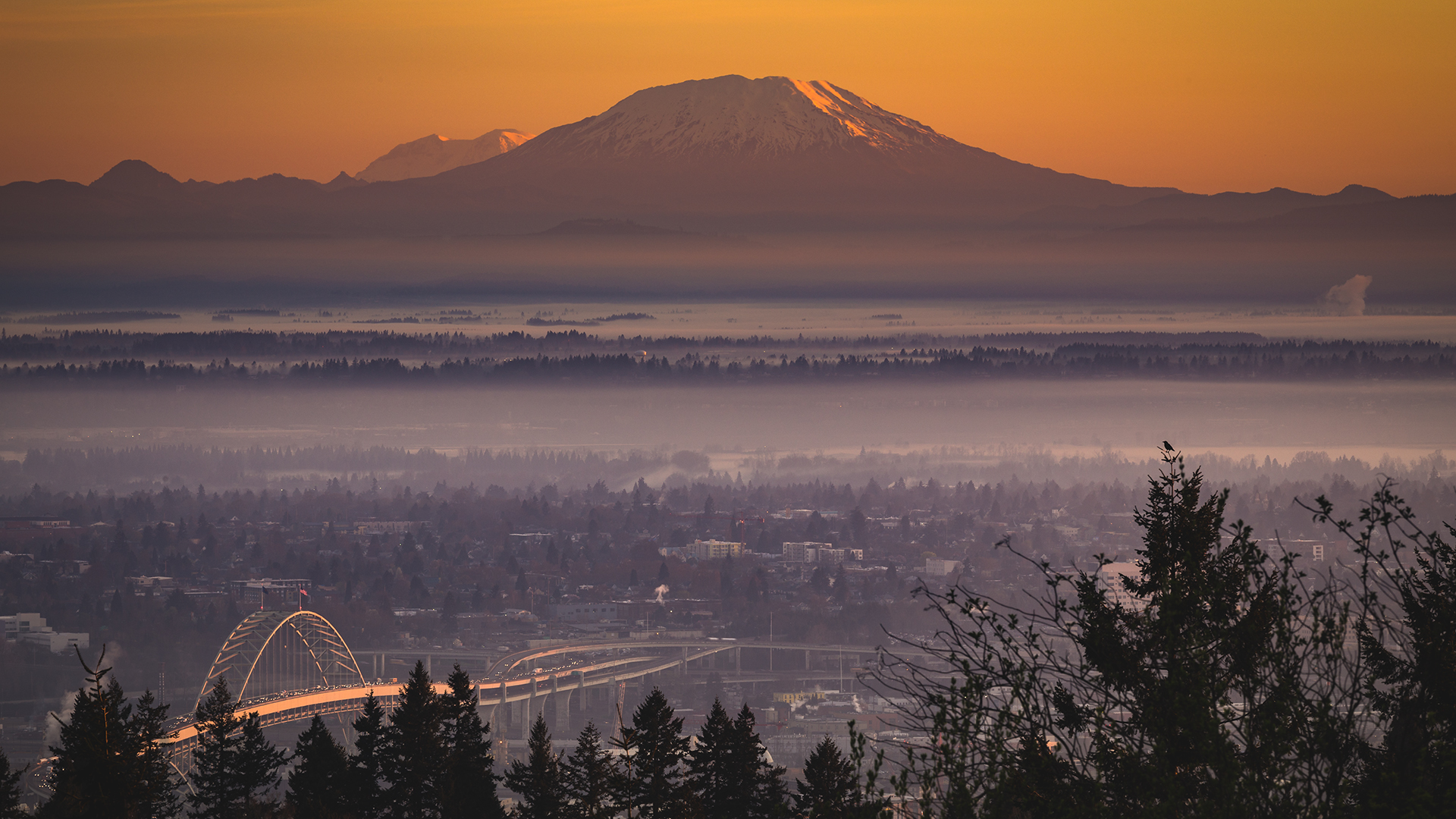 Sunrise over Portland with Mount Hood and mist HD Wallpaper