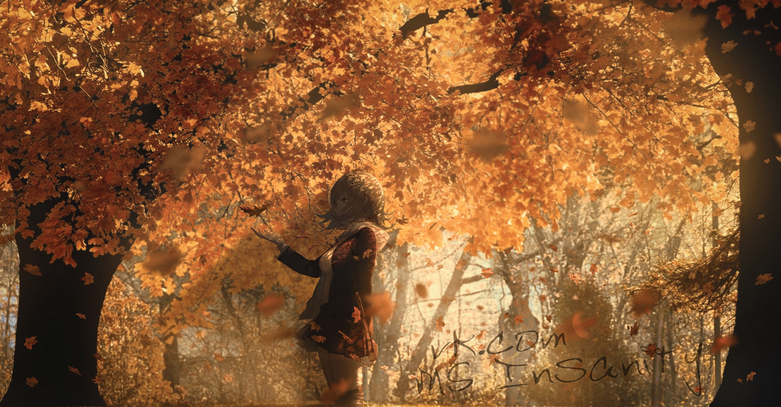 Anime girl in a fall forest HD Wallpaper