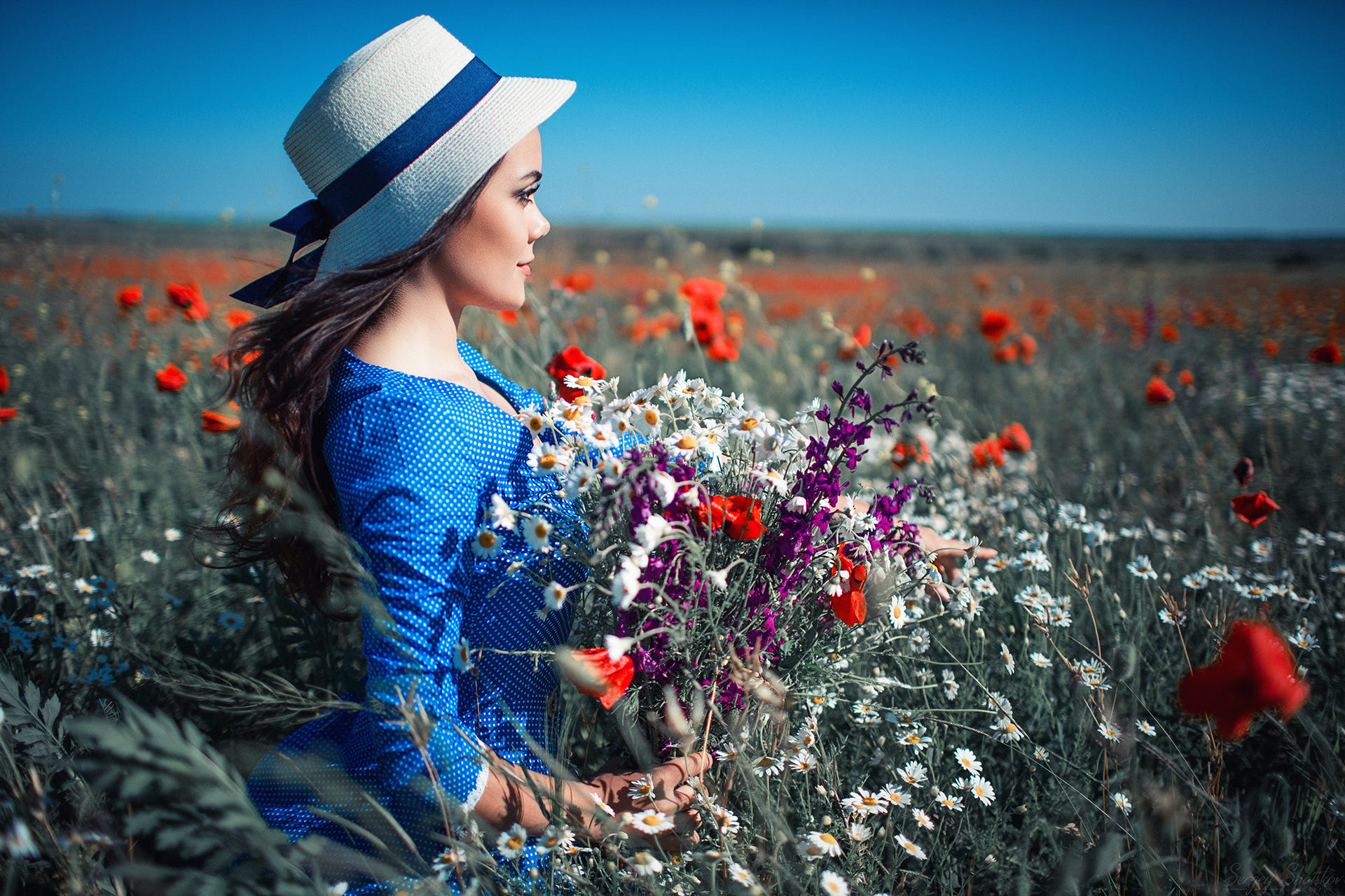Woman in a hat holding flowers in a poppy field HD Wallpaper