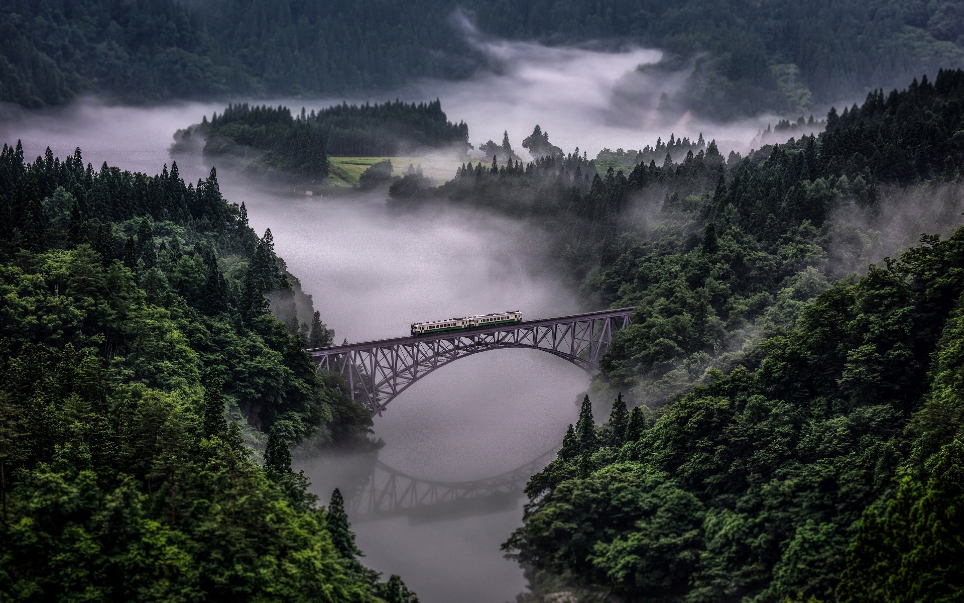Train crossing a bridge over a misty river in a forest HD Wallpaper
