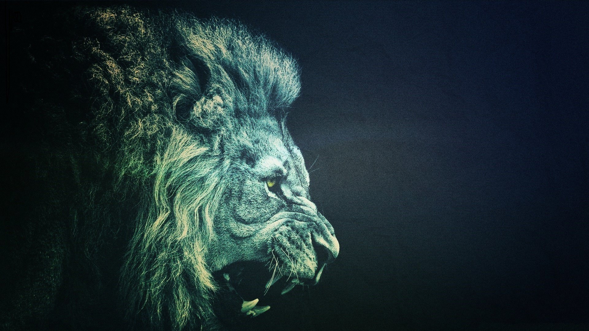 Close-up of a lion's face with a dark background HD Wallpaper
