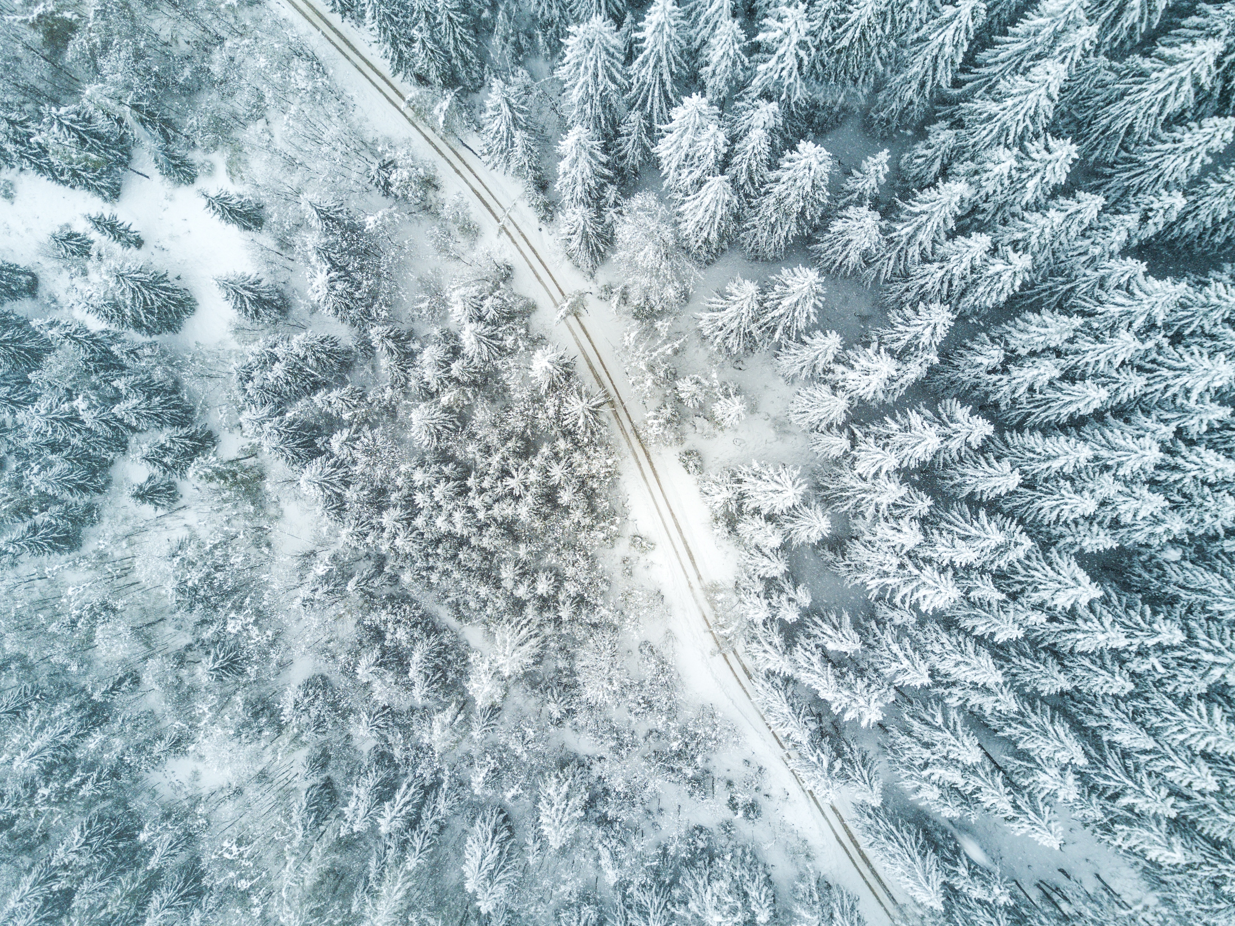 Aerial view of a snow-covered forest with a road HD Wallpaper