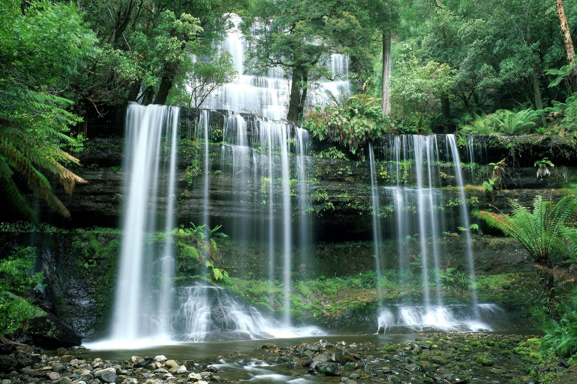 Russell Falls waterfall in Tasmania, Australia HD Wallpaper