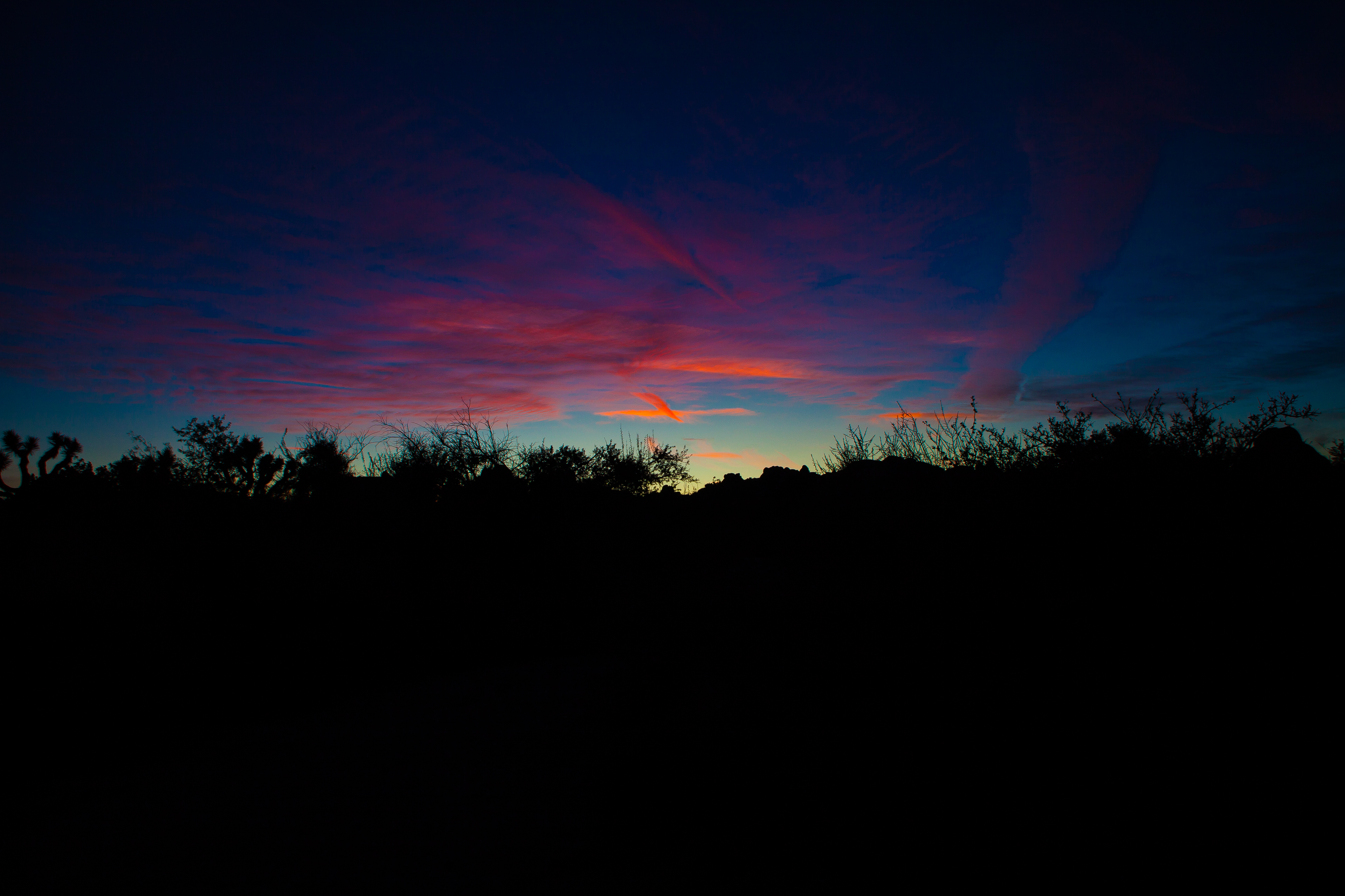 Sunset over Joshua Tree National Park landscape HD Wallpaper