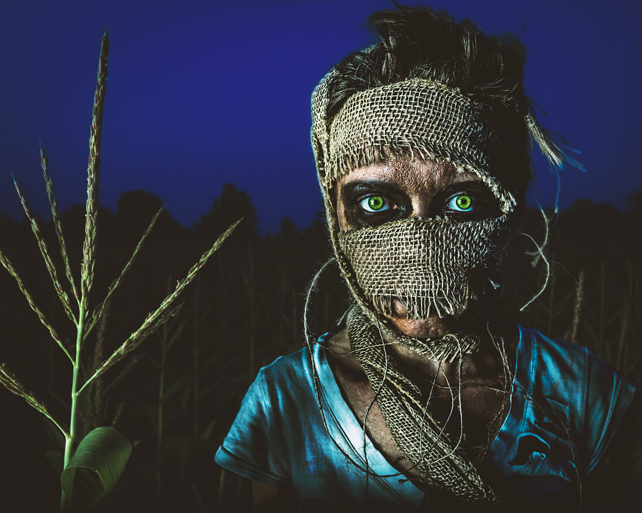 Scarecrow with green eyes in a cornfield HD Wallpaper