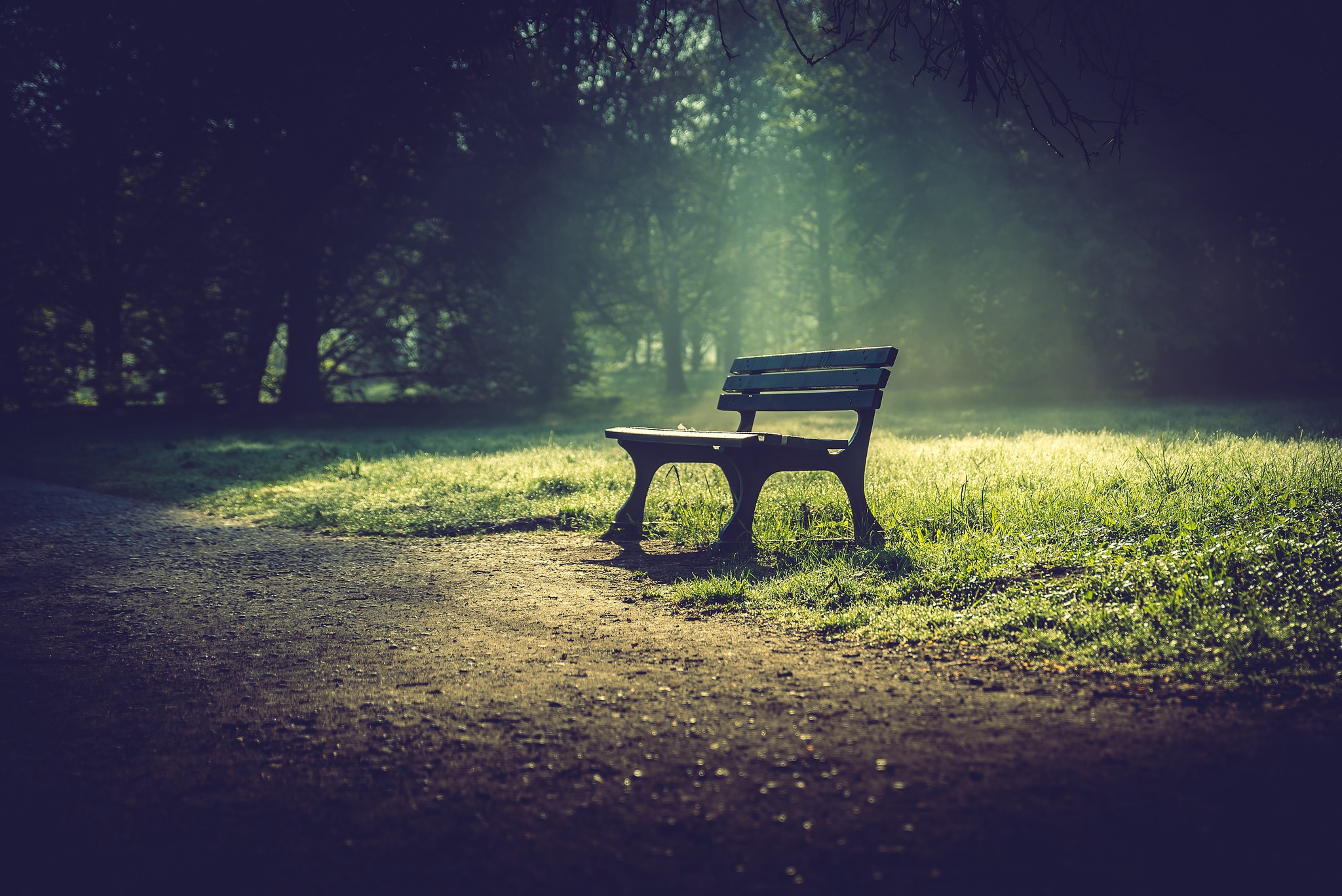 A solitary bench in a misty park HD Wallpaper