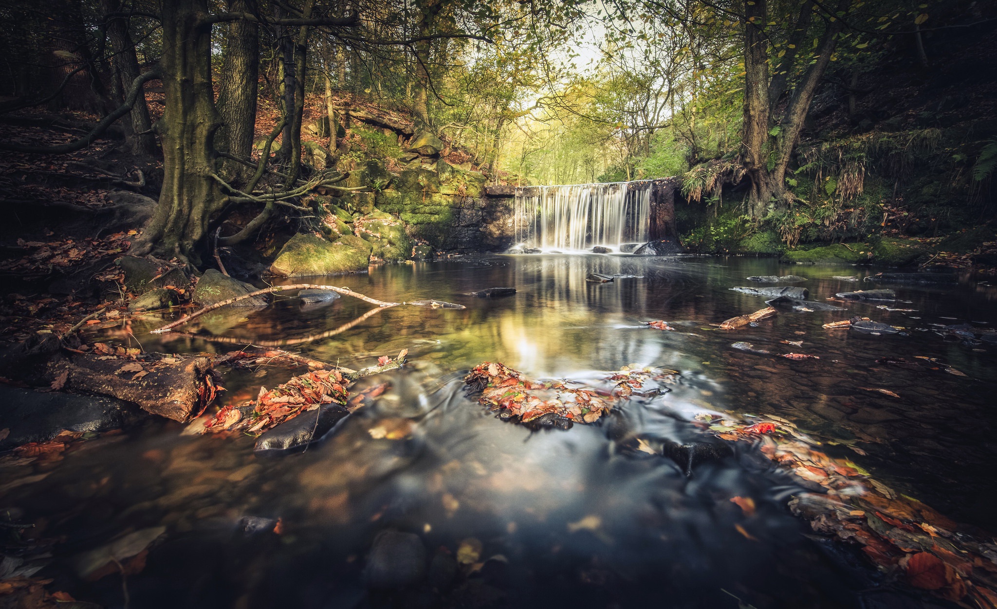 Waterfall in a forest with autumn leaves HD Wallpaper