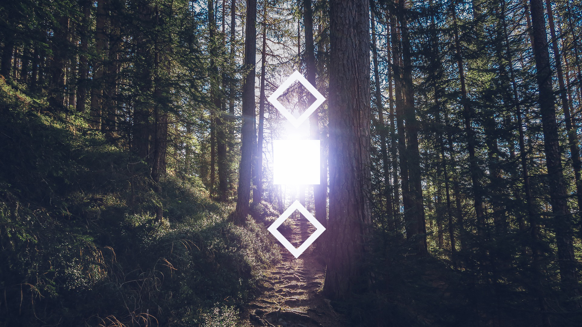 Geometric shapes in a sunlit forest HD Wallpaper