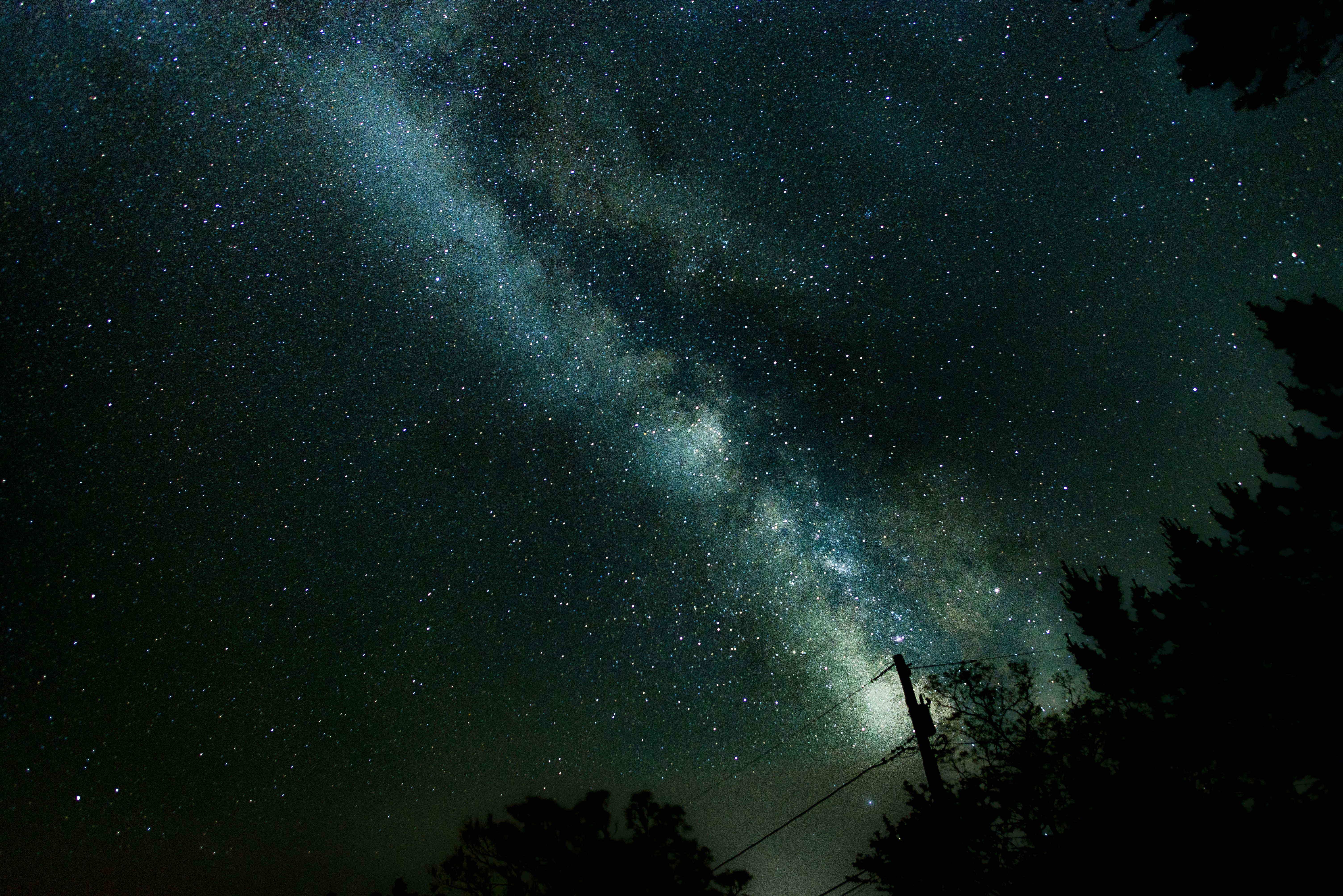 Milky Way galaxy over silhouetted trees and power lines HD Wallpaper