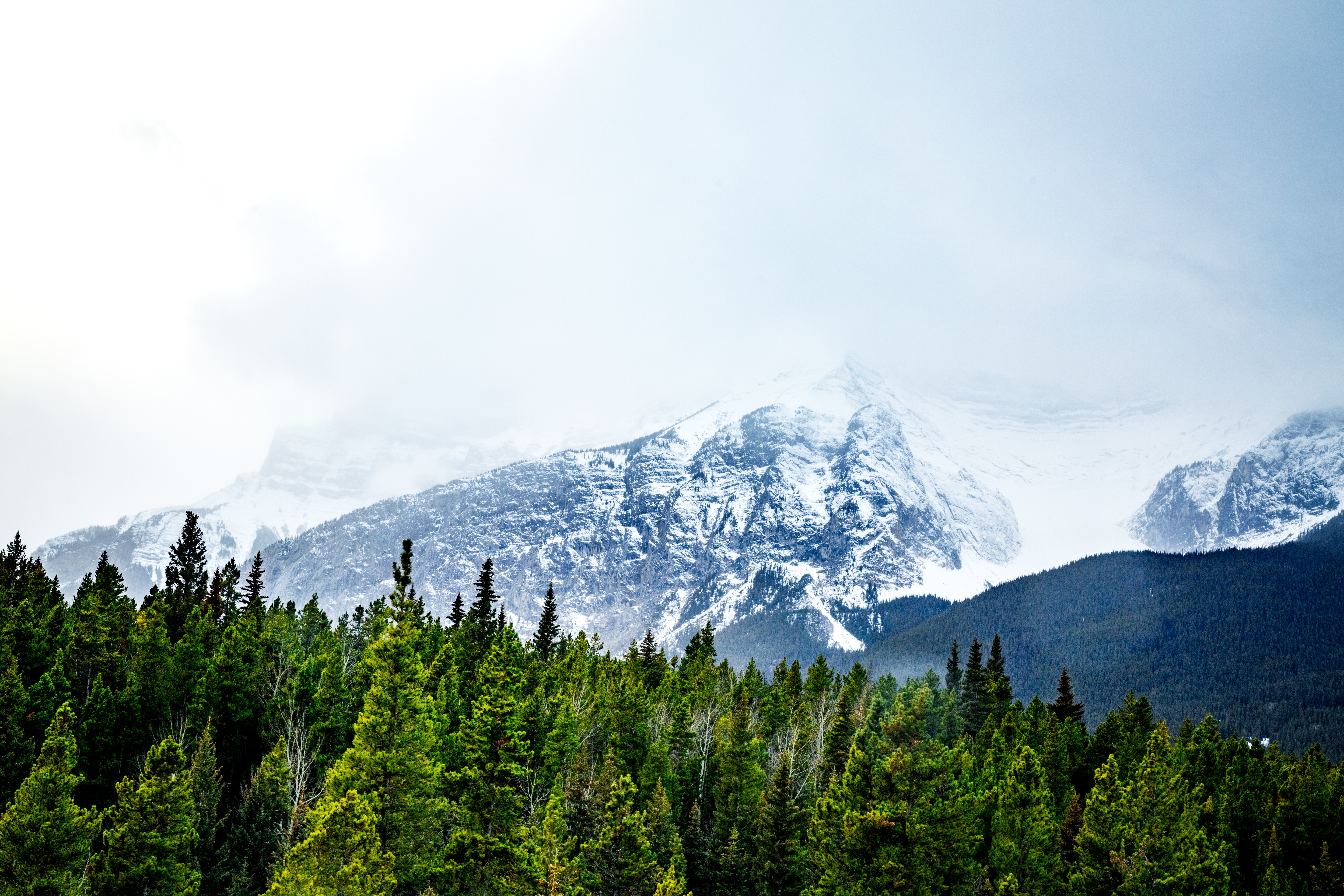 Snow-covered mountains behind a dense forest HD Wallpaper