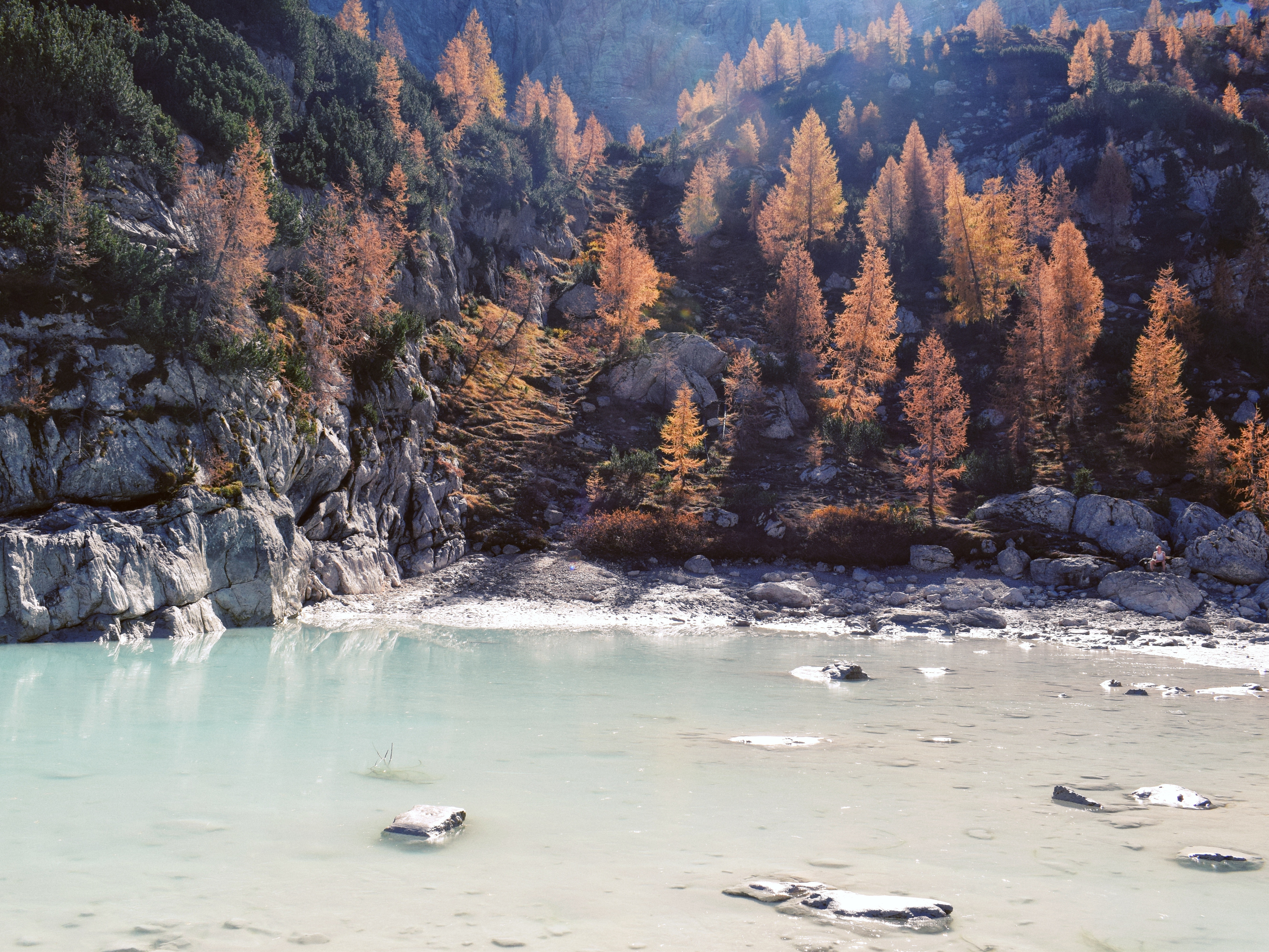 Autumn trees by a mountain lake HD Wallpaper