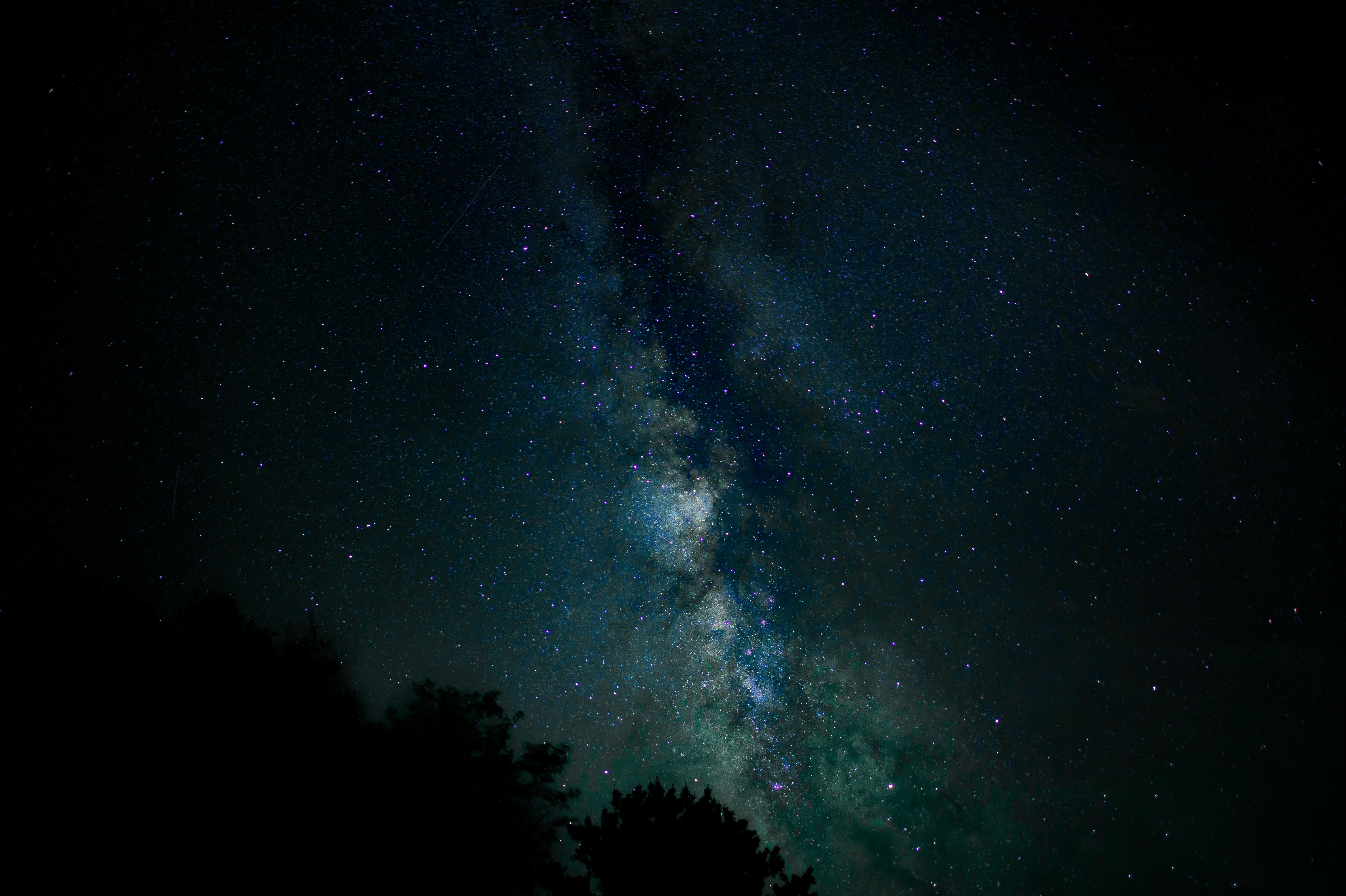 Milky Way galaxy over silhouetted trees HD Wallpaper